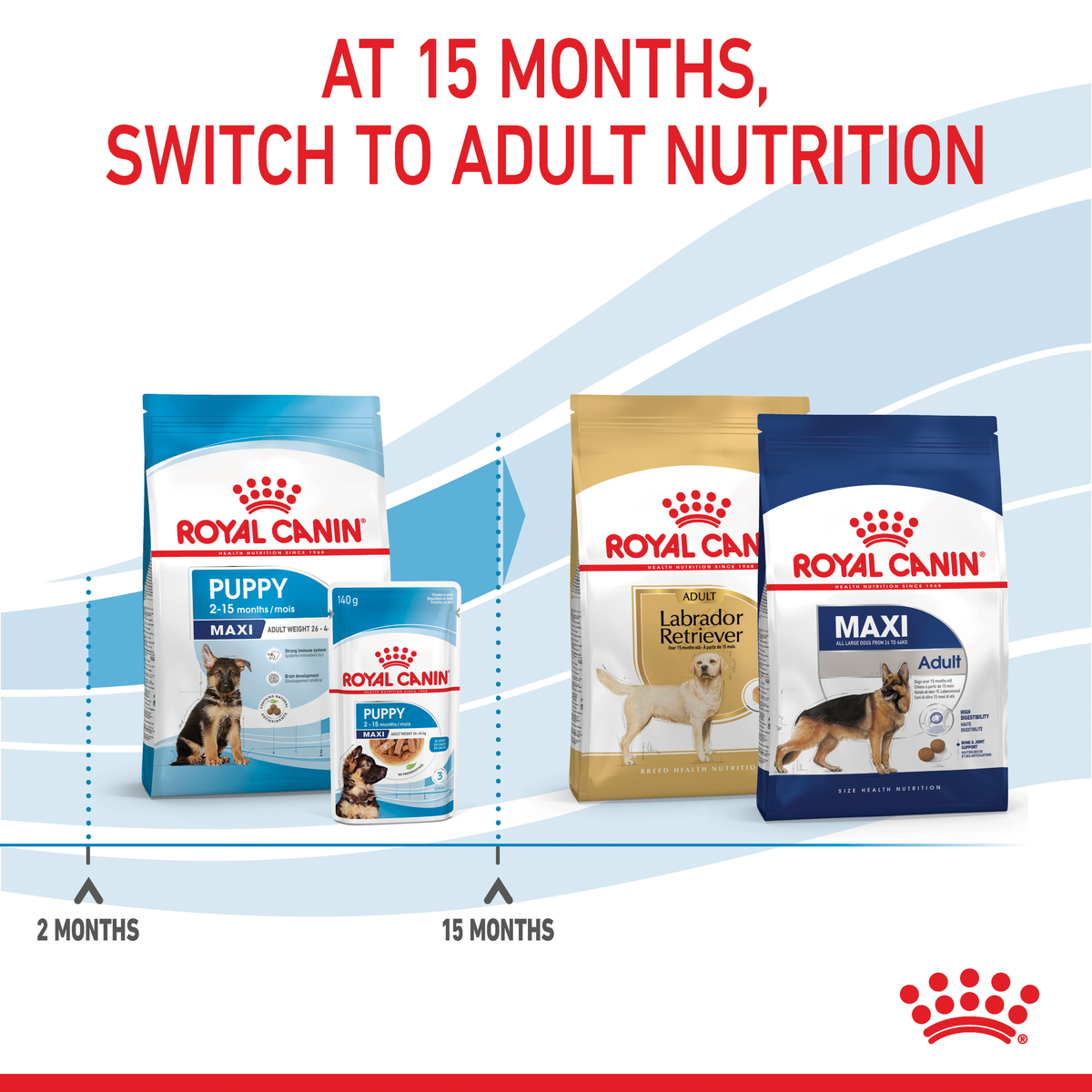 Royal Canin Maxi packs showing the switch to adult nutrition at 15 months
