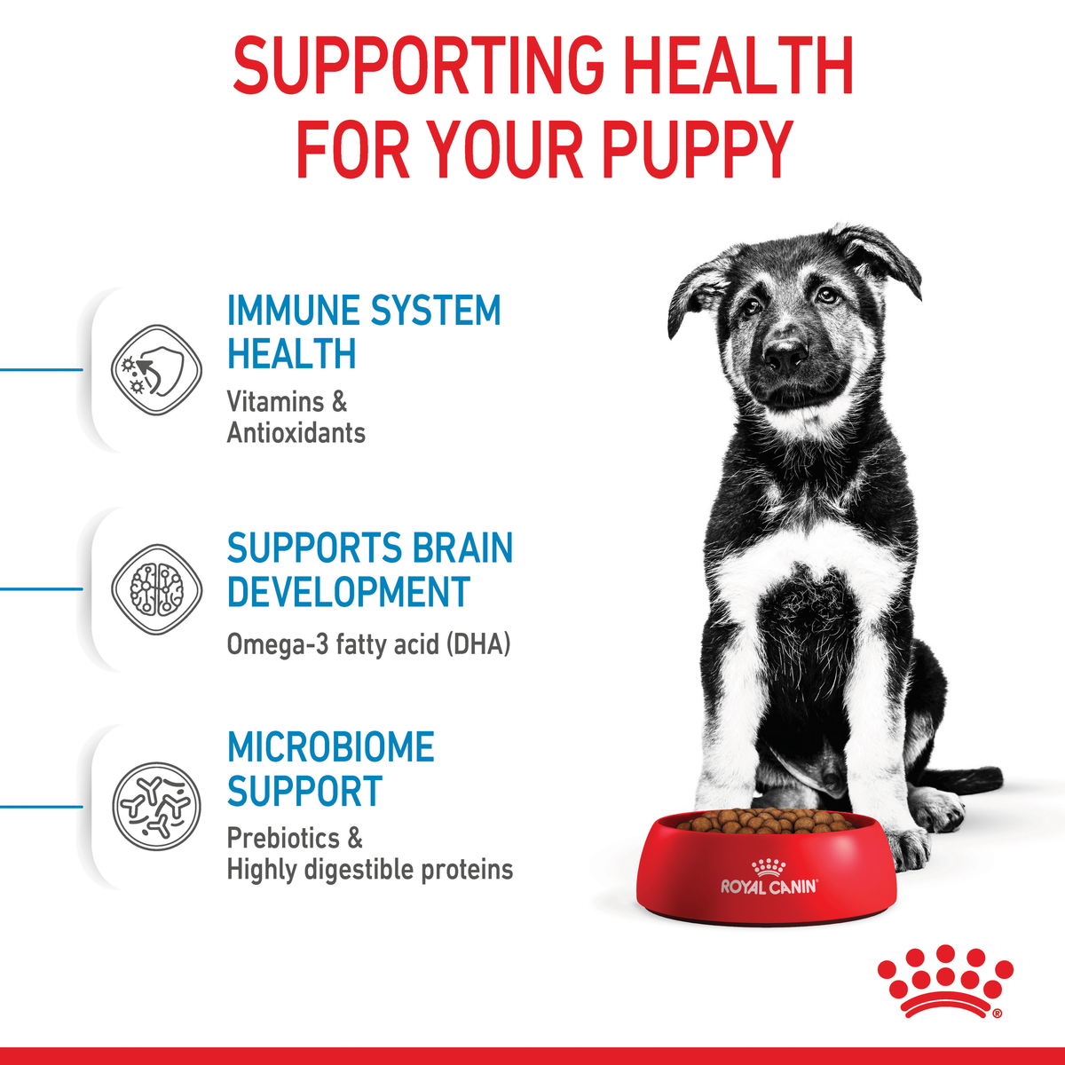 Royal Canin Maxi Puppy health support: immune health, brain development, microbiome support