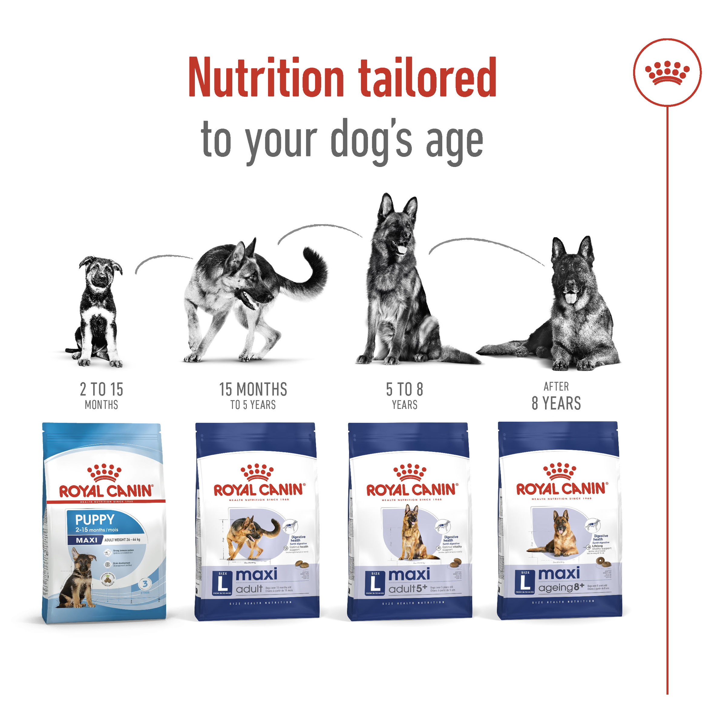 Royal Canin Maxi Adult product detail 5