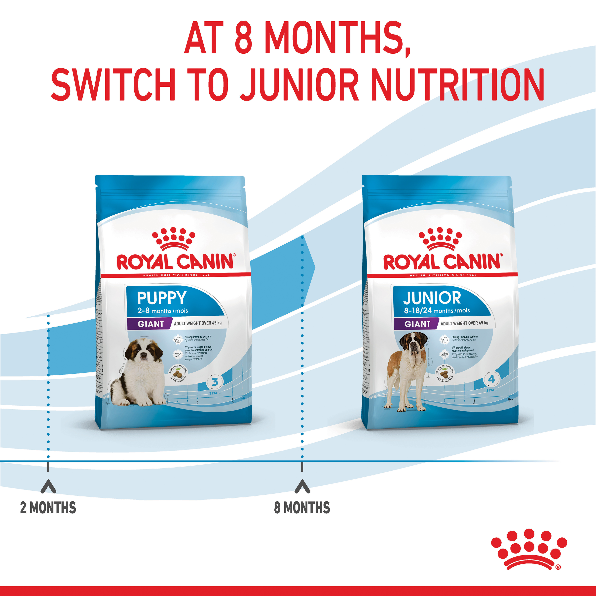 Royal Canin Giant Puppy product detail 5
