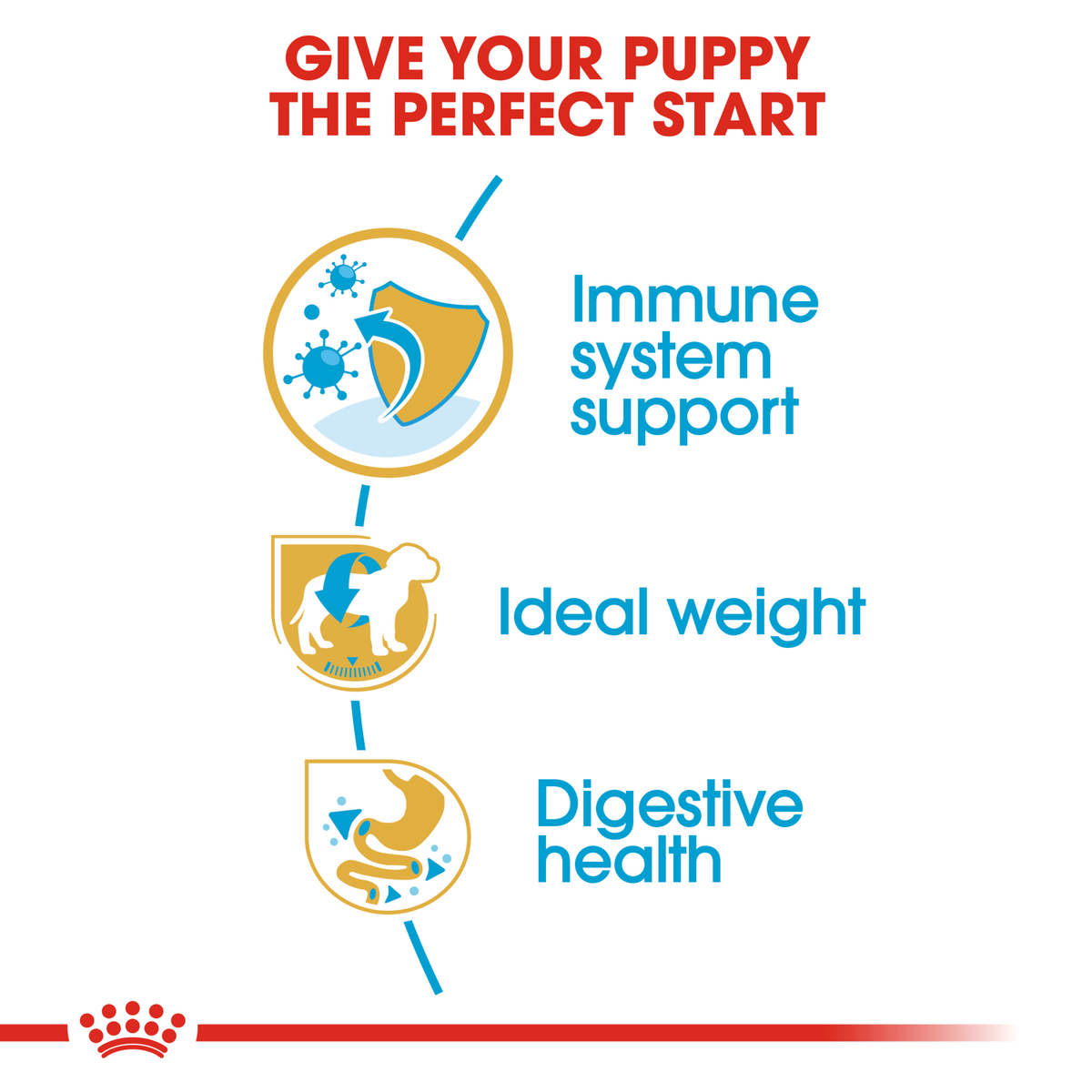 Royal Canin Miniature Schnauzer Puppy benefits: immune support, ideal weight, digestive health