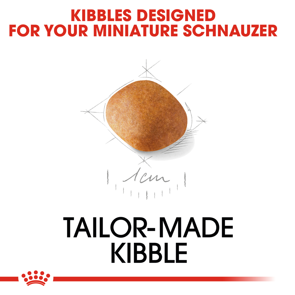 Close-up of the tailor-made Royal Canin kibble designed for the Miniature Schnauzer Puppy