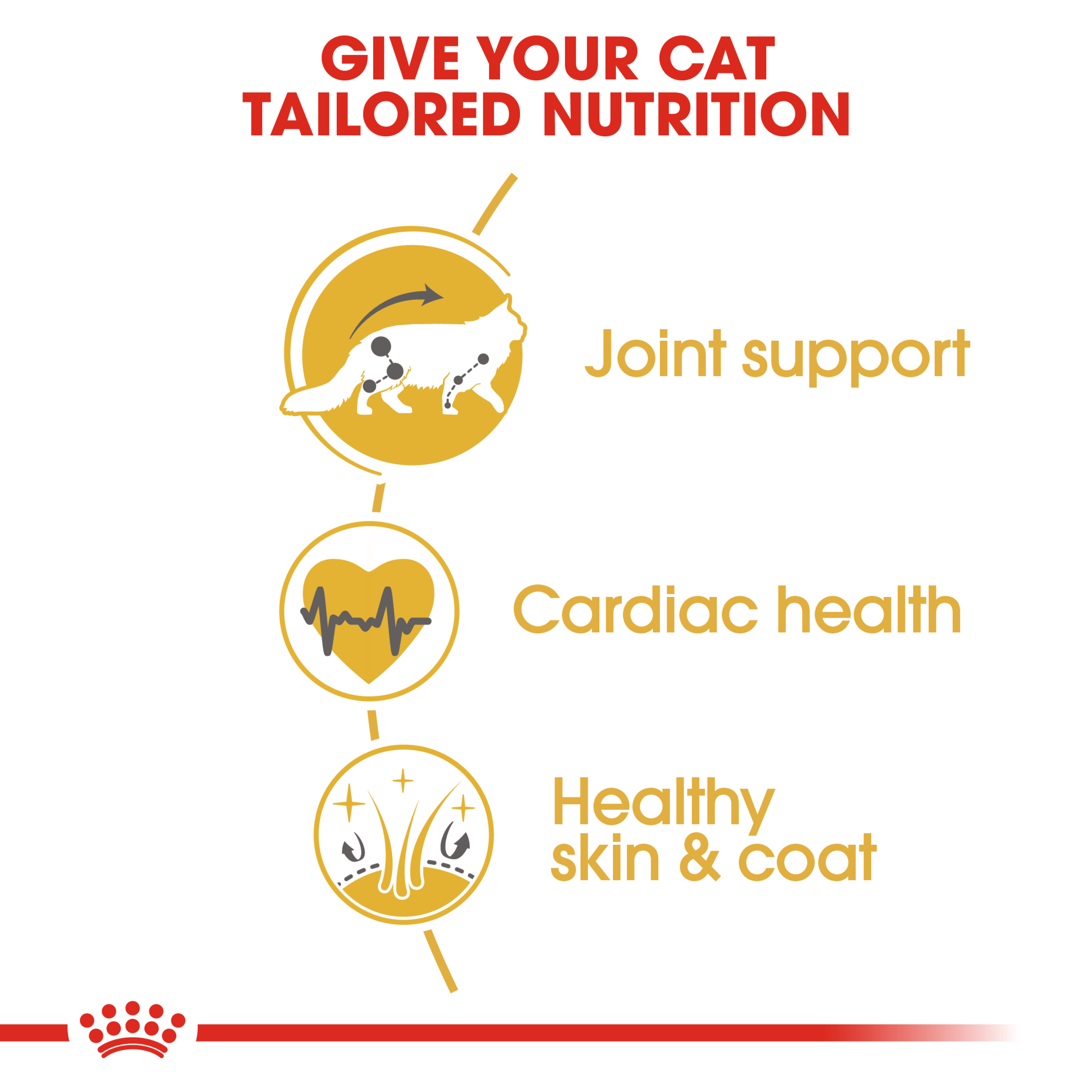 Royal Canin Maine Coon, dry cat food, 2kg to 10kg bags, adult cat