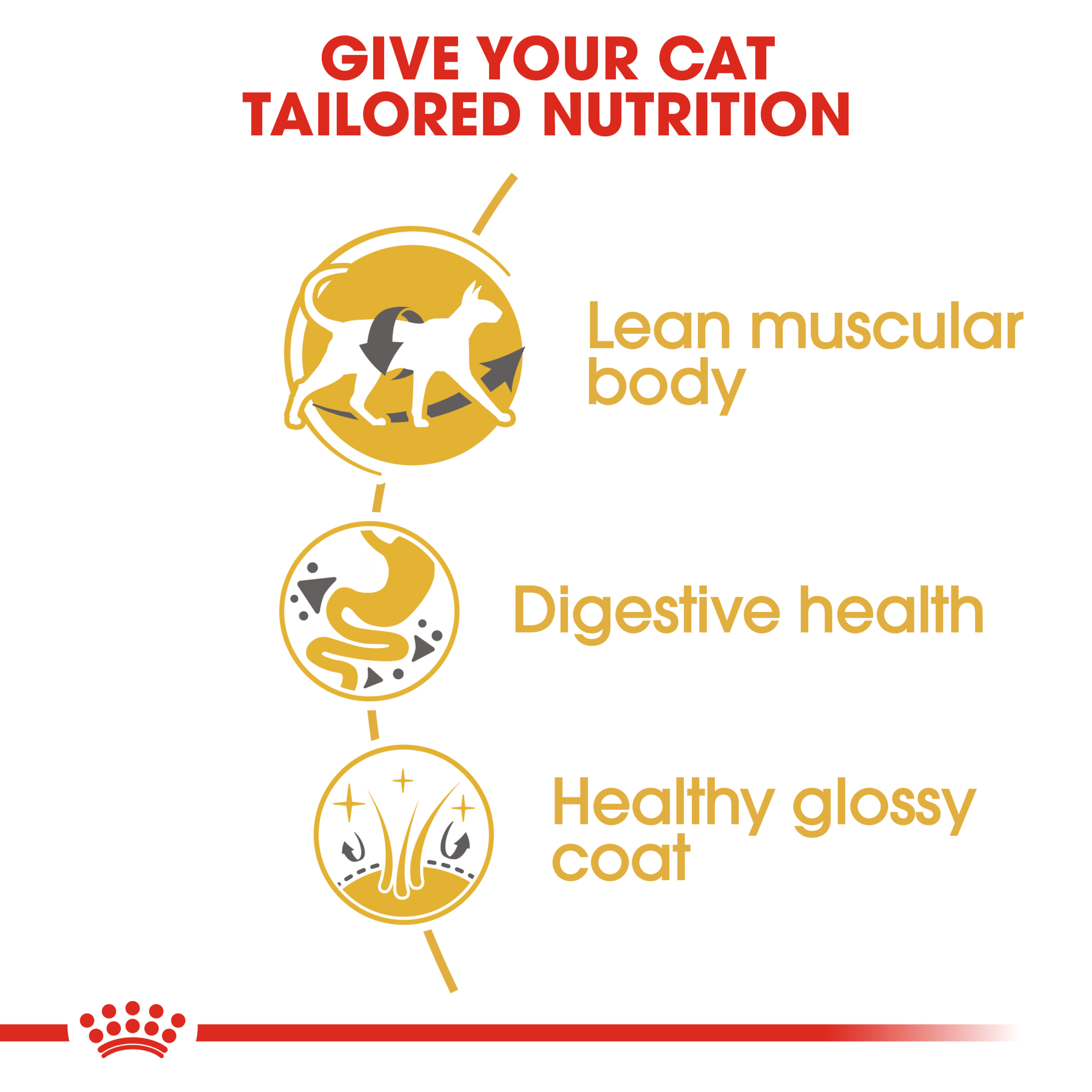 Royal Canin Siamese Dry Cat Food product detail 2