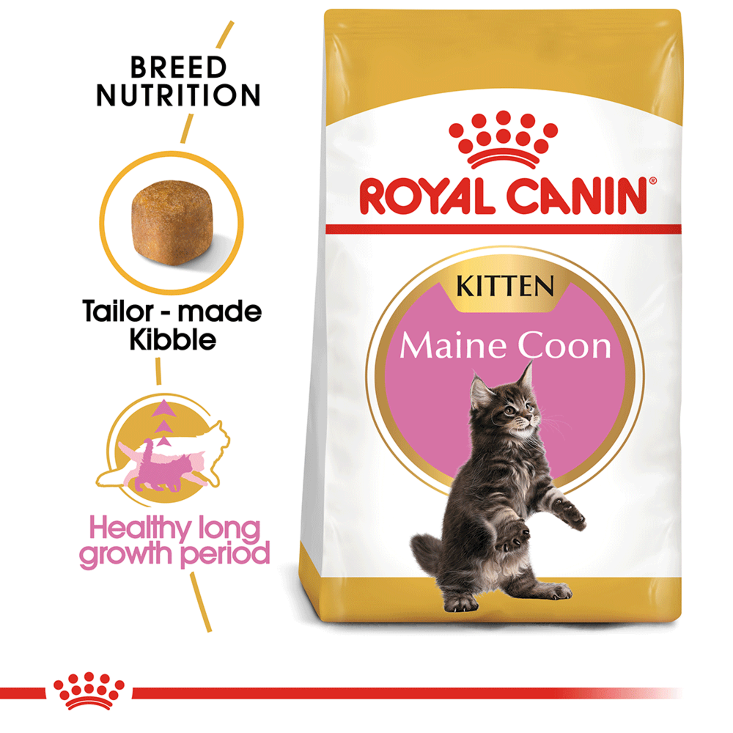 Royal Canin Dry Cat Food Maine Coon Kitten product detail 1
