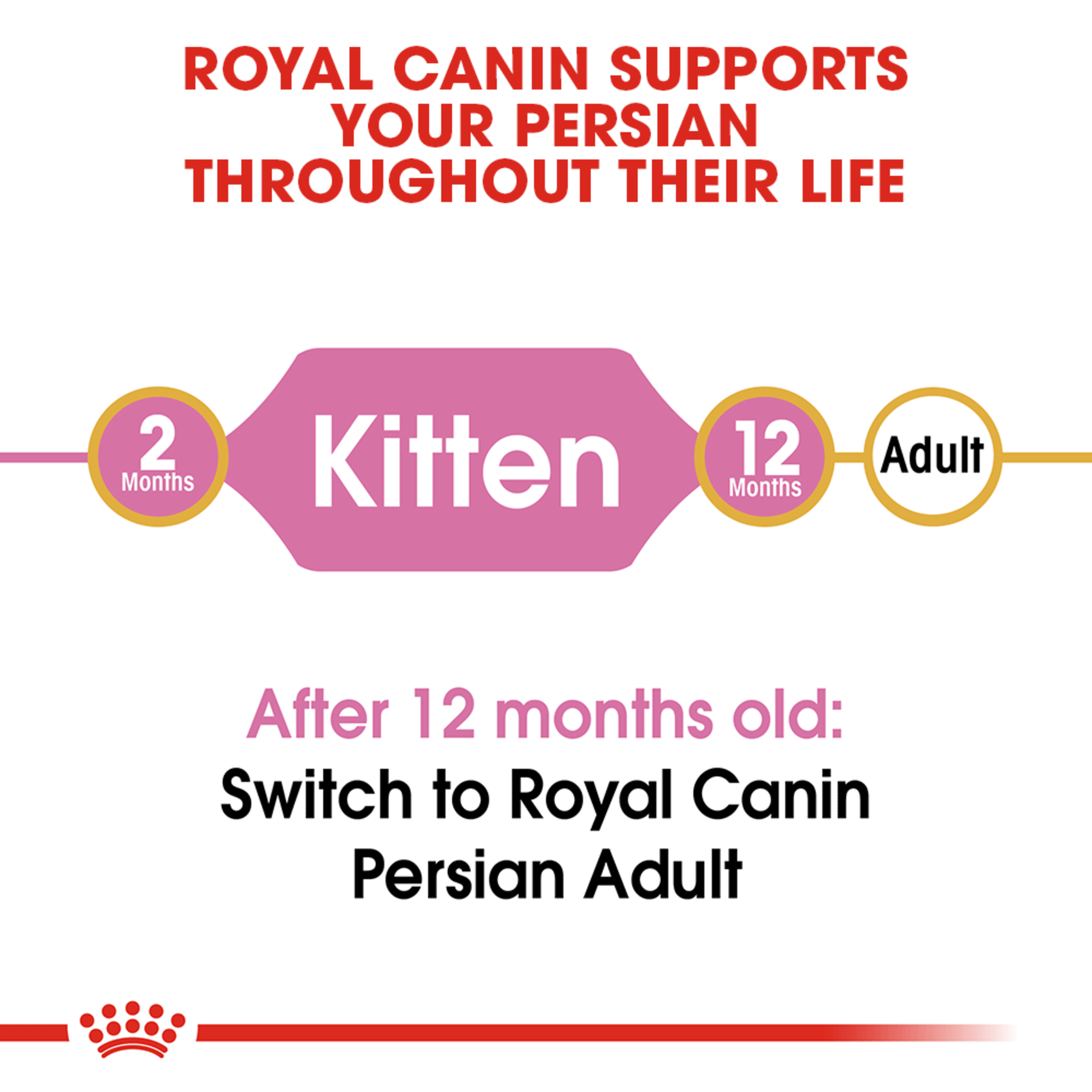 Royal Canin Dry Cat Food Persian Kitten product detail 5