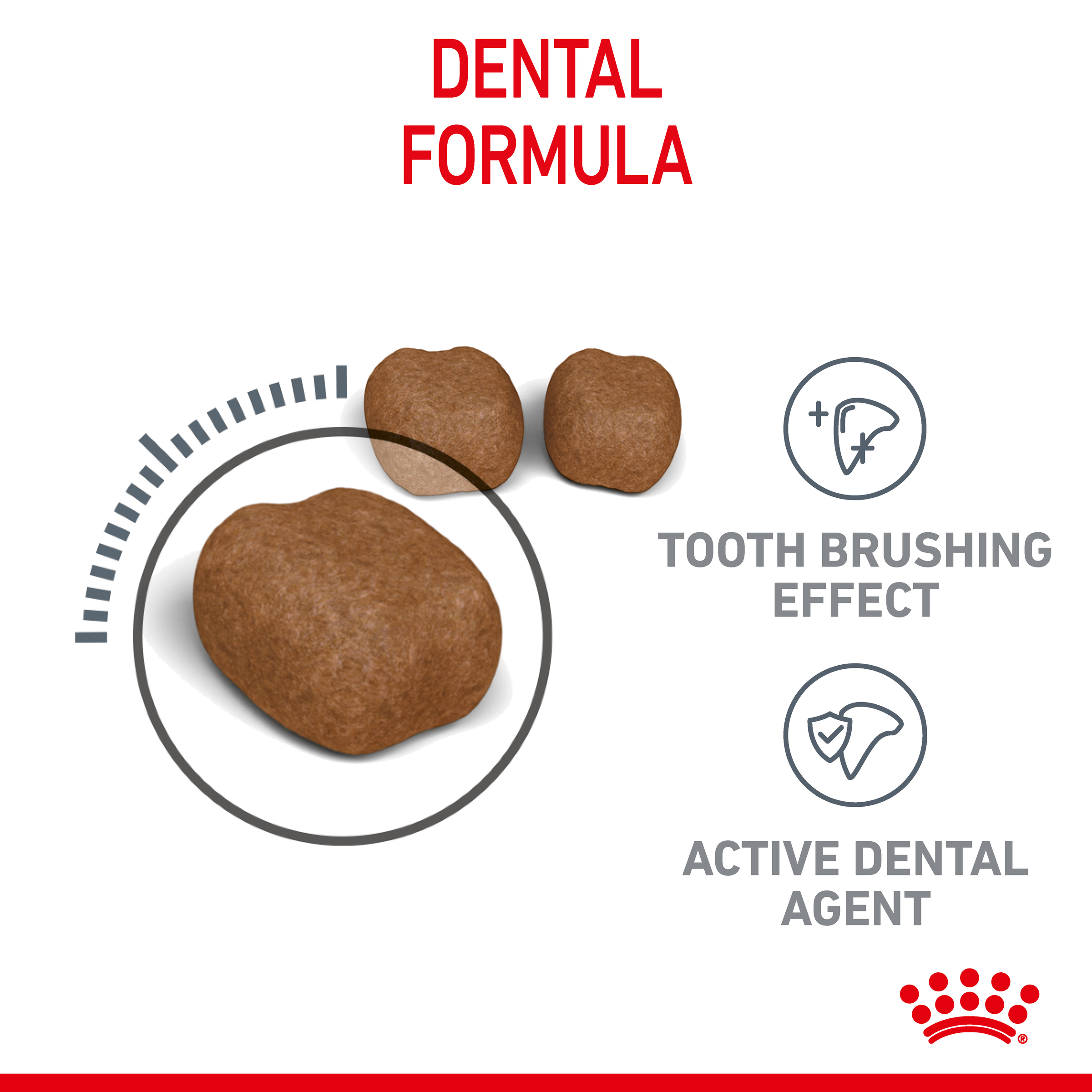 Royal Canin Dental Care Dry Cat Food product detail 3