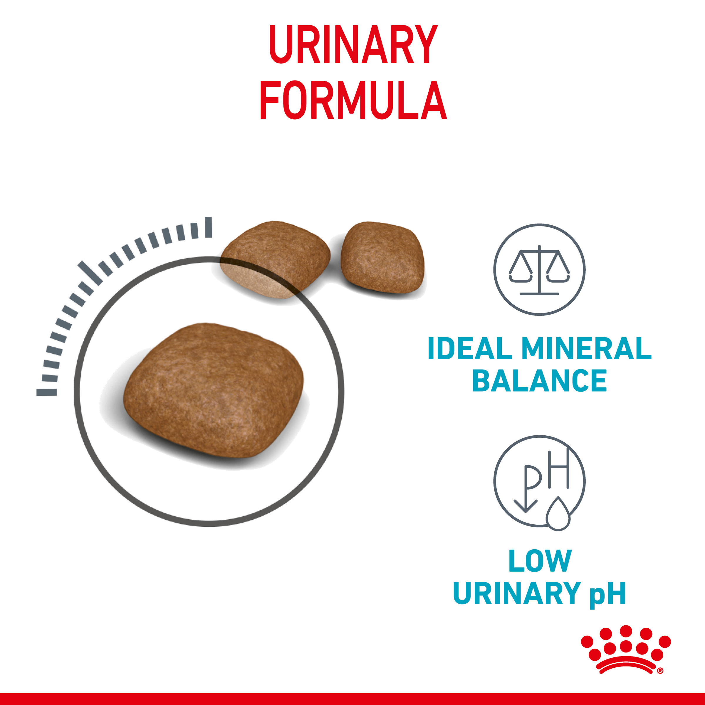 Royal Canin Urinary Care Dry Cat Food product detail 3