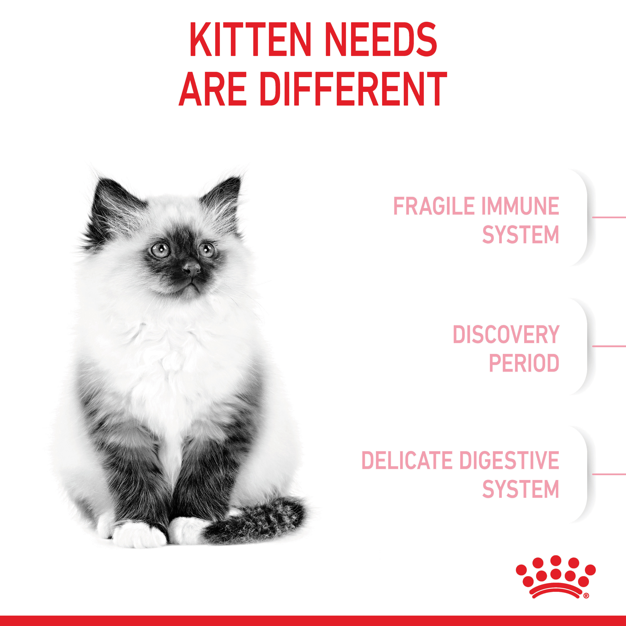 Royal Canin Second Age Kitten Dry Cat Food product detail 2