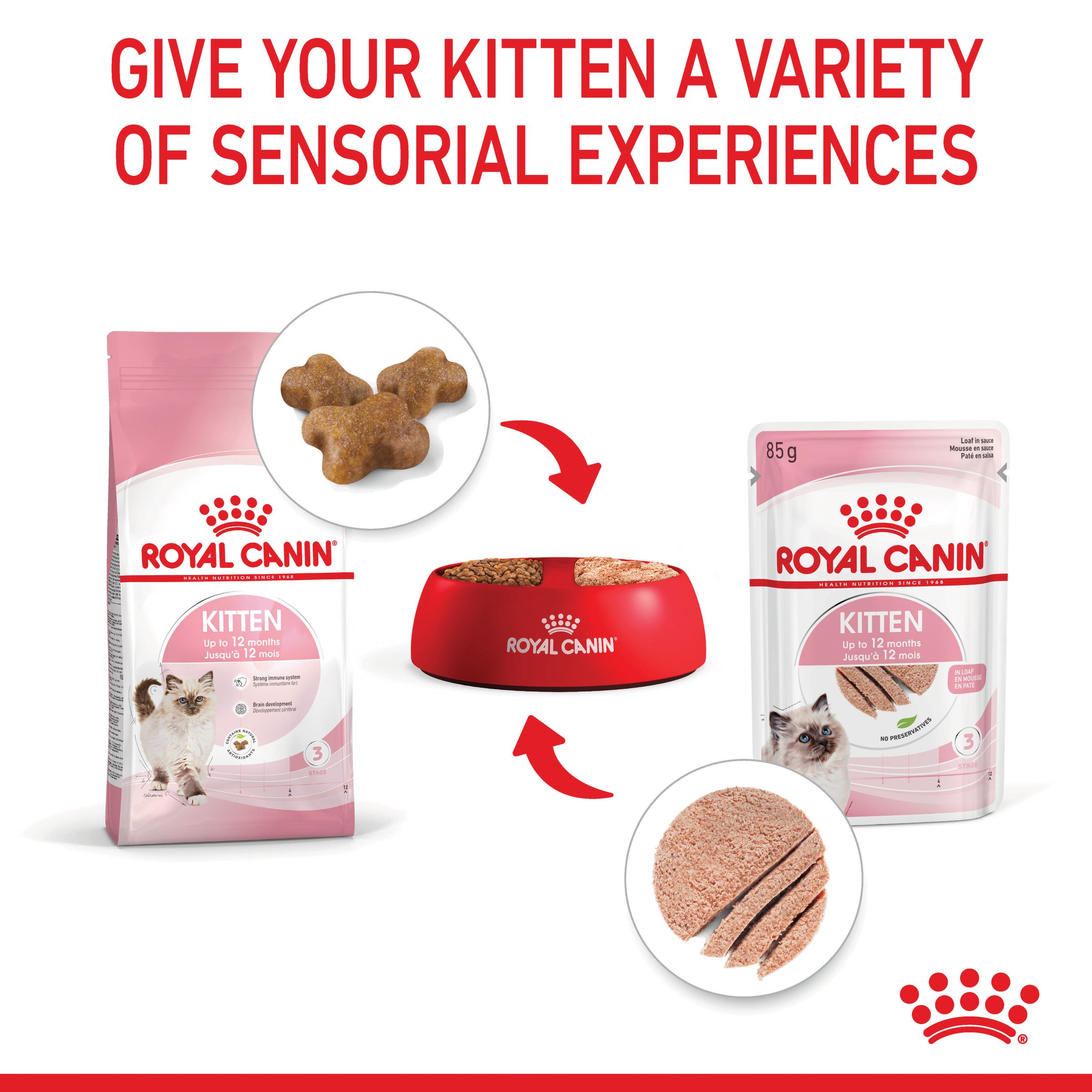 Royal Canin Second Age Kitten Dry Cat Food product detail 4