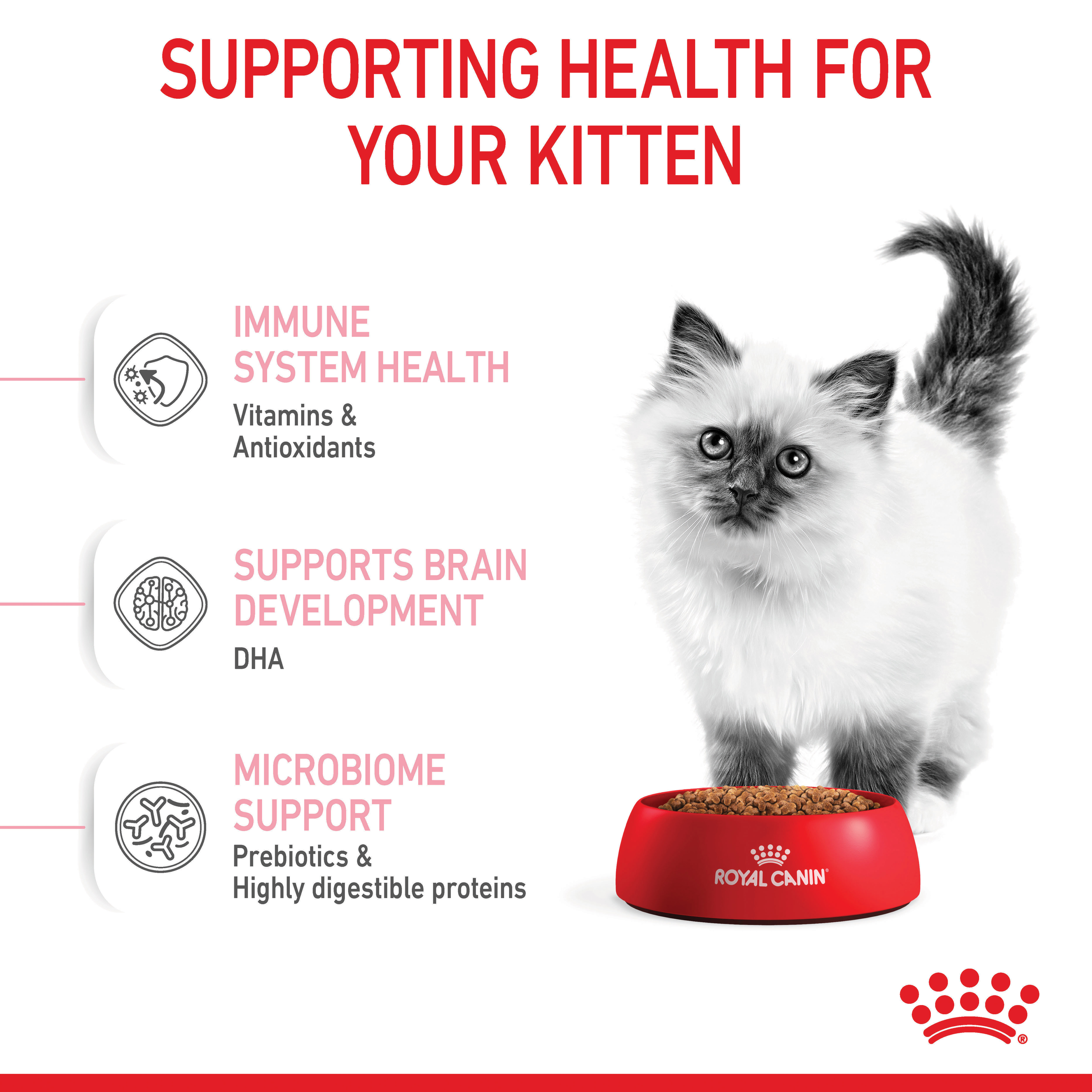 Royal Canin Second Age Kitten Dry Cat Food product detail 5