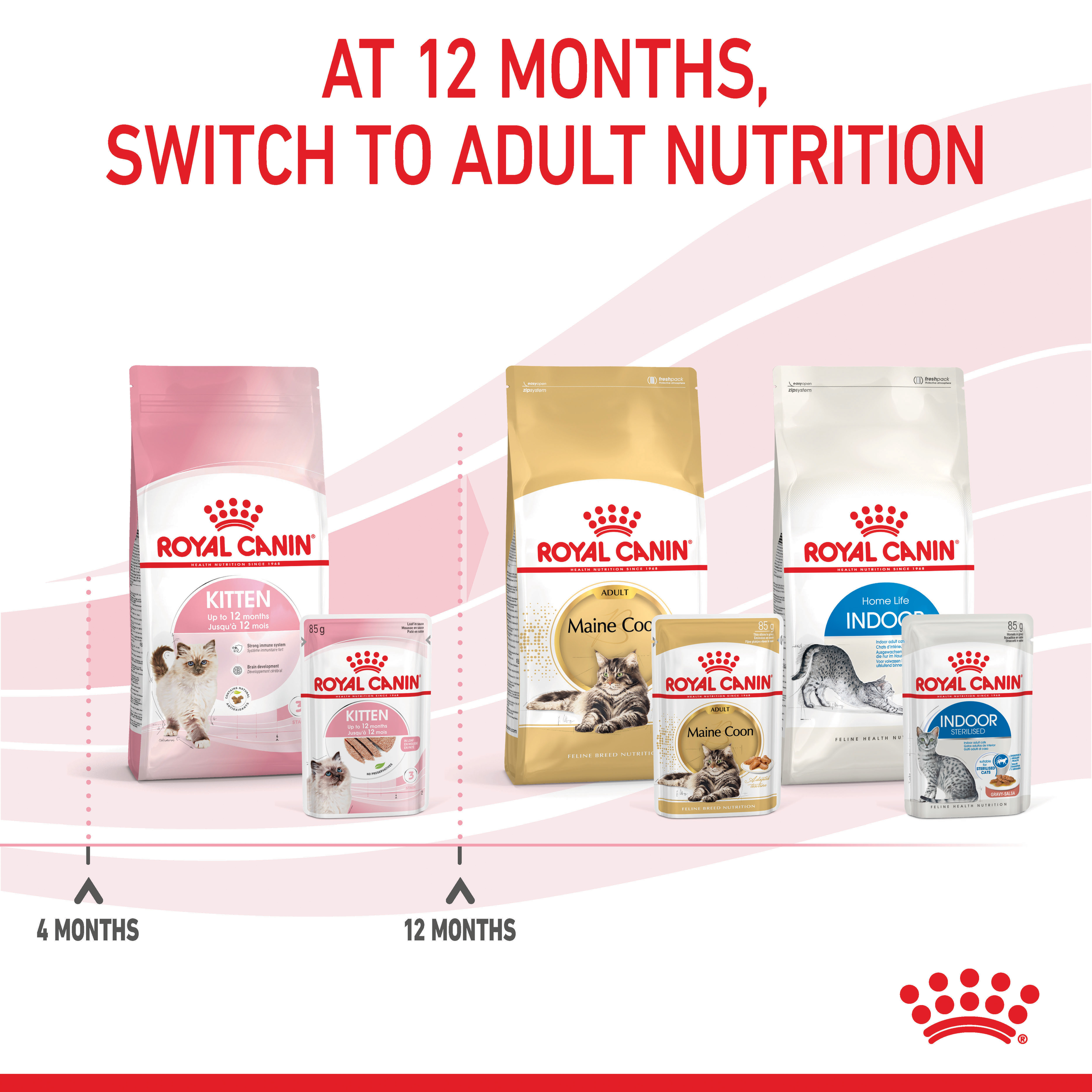 Royal Canin Second Age Kitten Dry Cat Food product detail 6