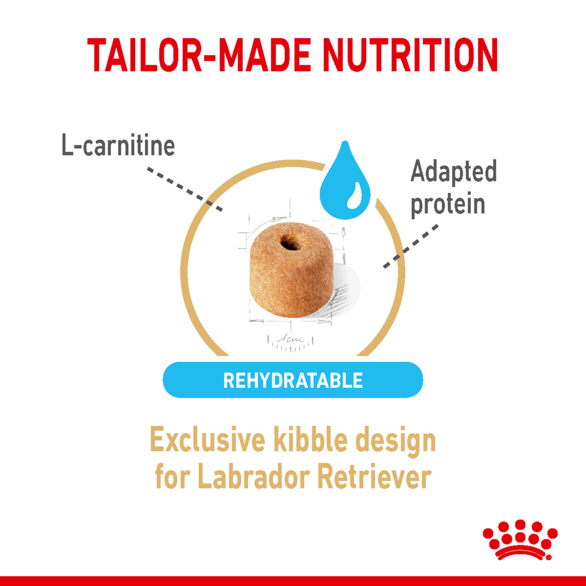 Royal Canin Labrador Retriever 5+ rehydratable kibble with L-carnitine and adapted protein