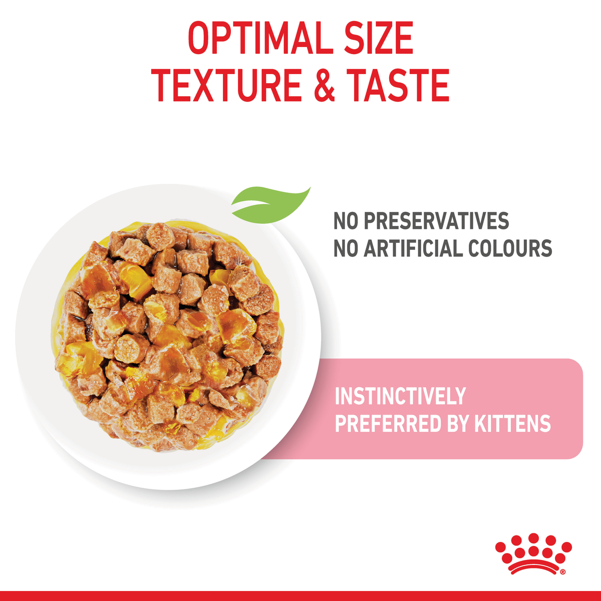 Close-up of Royal Canin Kitten chunks in jelly, no preservatives or artificial colours