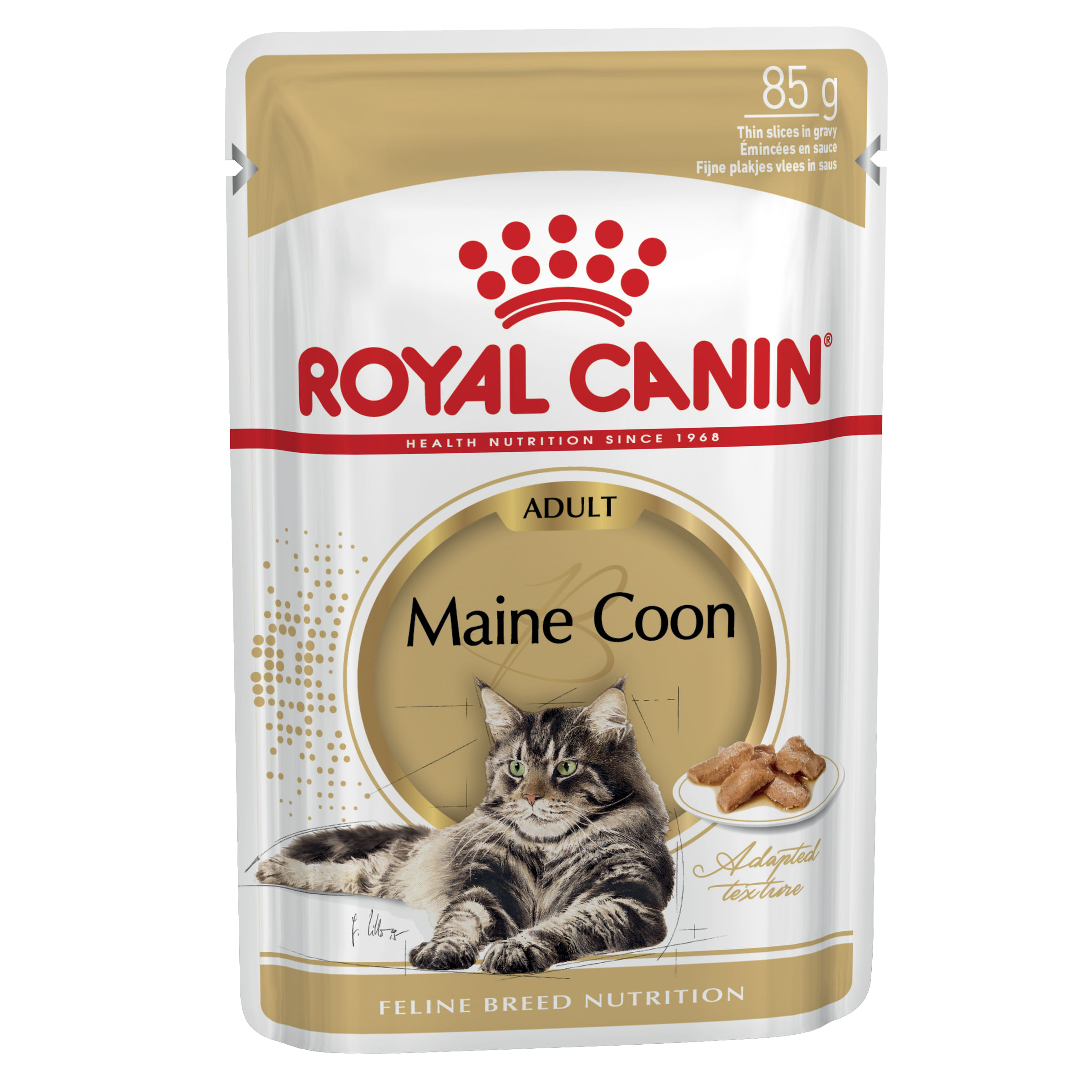 Royal Canin Wet Cat Food Maine Coon Gravy front of pack