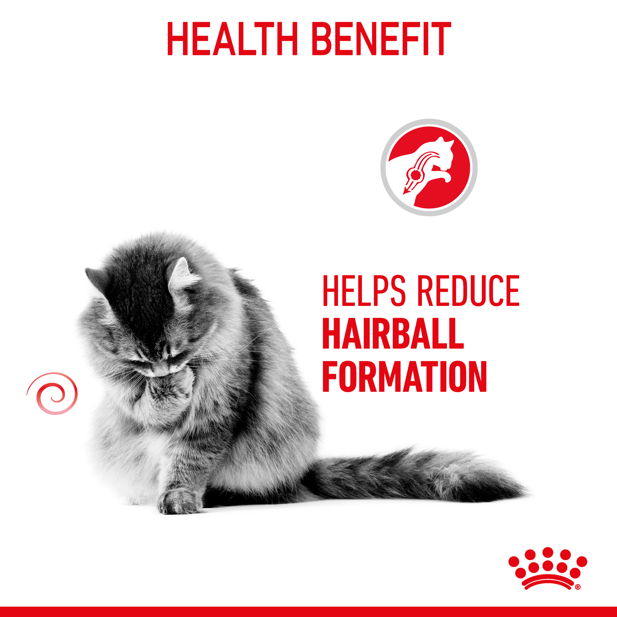 Royal Canin Hairball Care Wet Cat Food in Jelly product detail 3