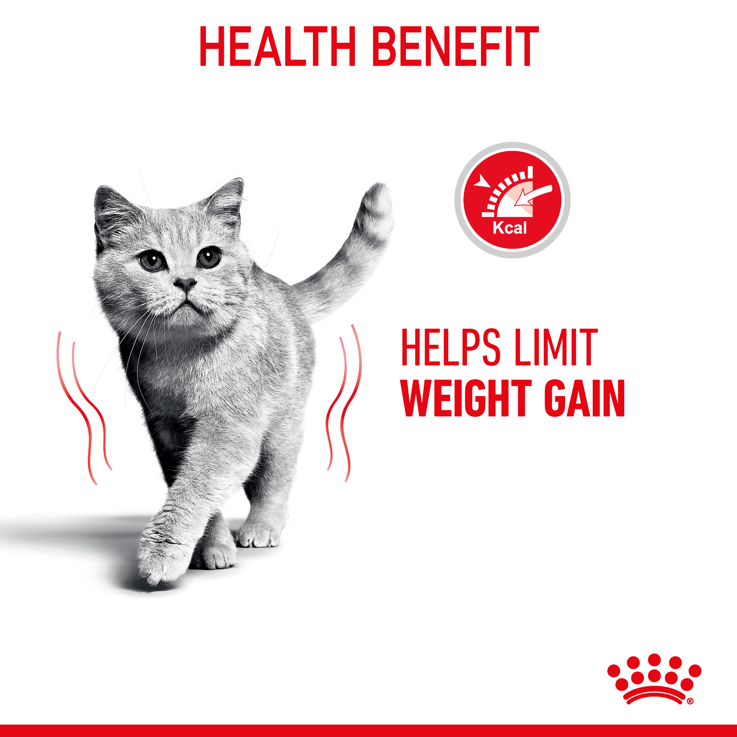 Royal Canin Wet Cat Food Light Weight Care Gravy product detail 3