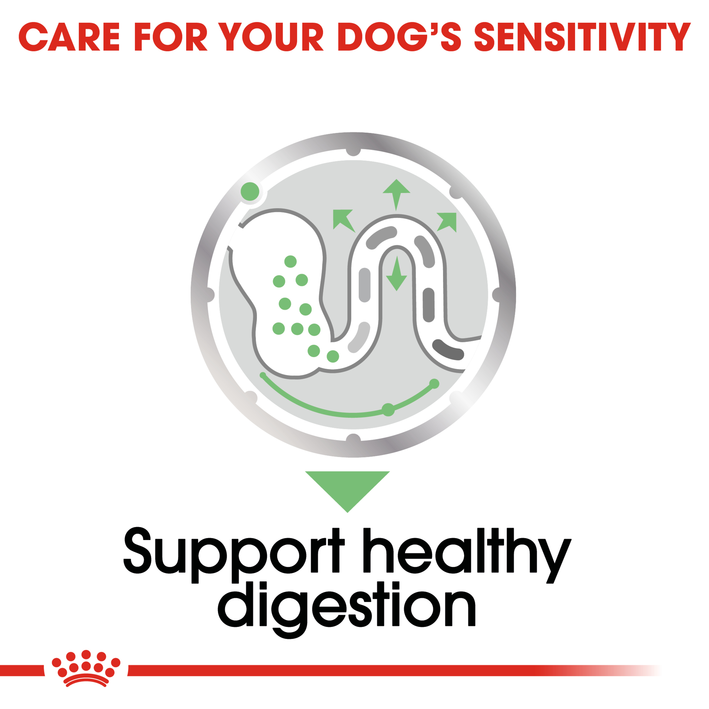 Royal Canin Digestive Care Loaf, wet dog food, 12 or 48 x 85g, dog