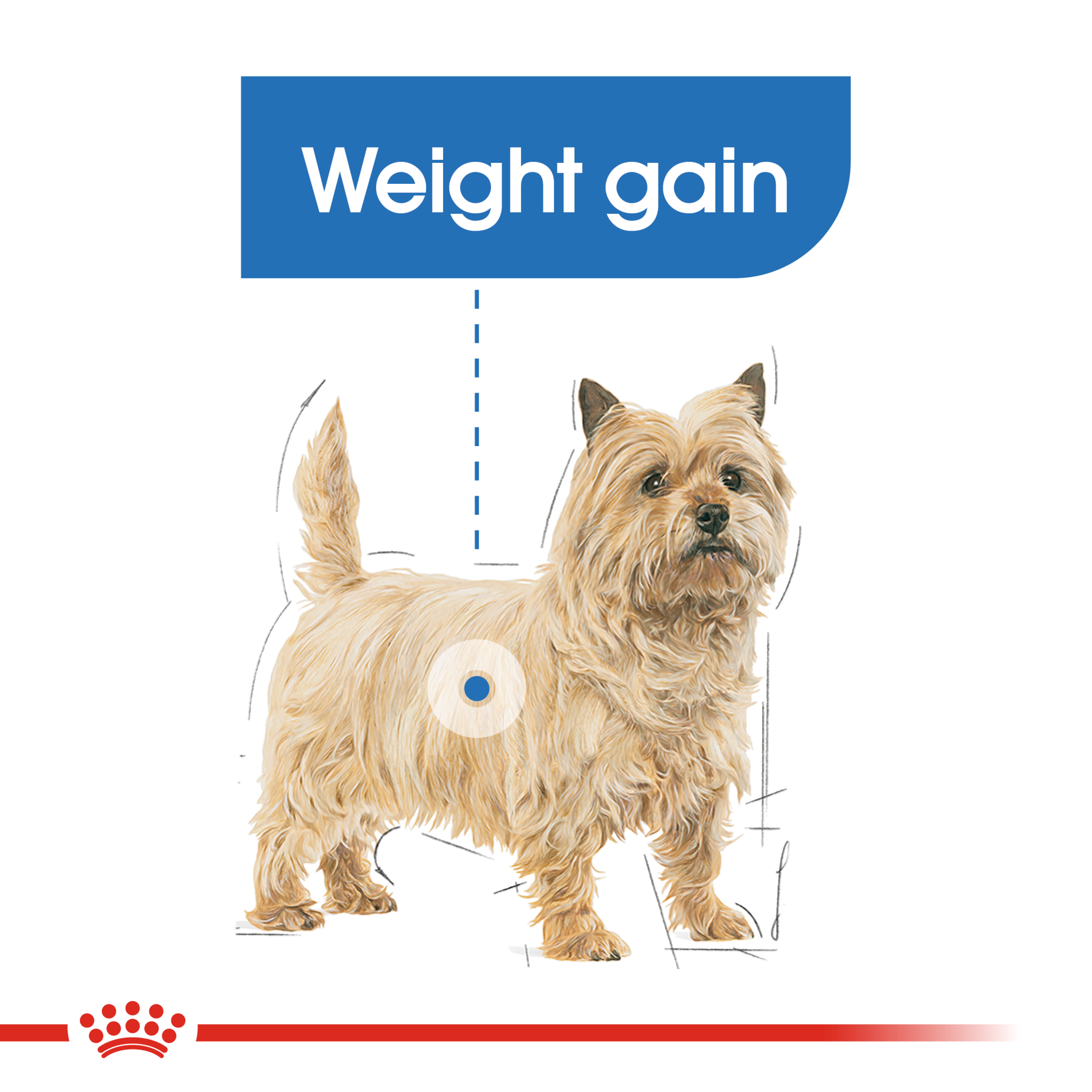 Royal Canin Wet Dog Food Light Weight Care Loaf product detail 2