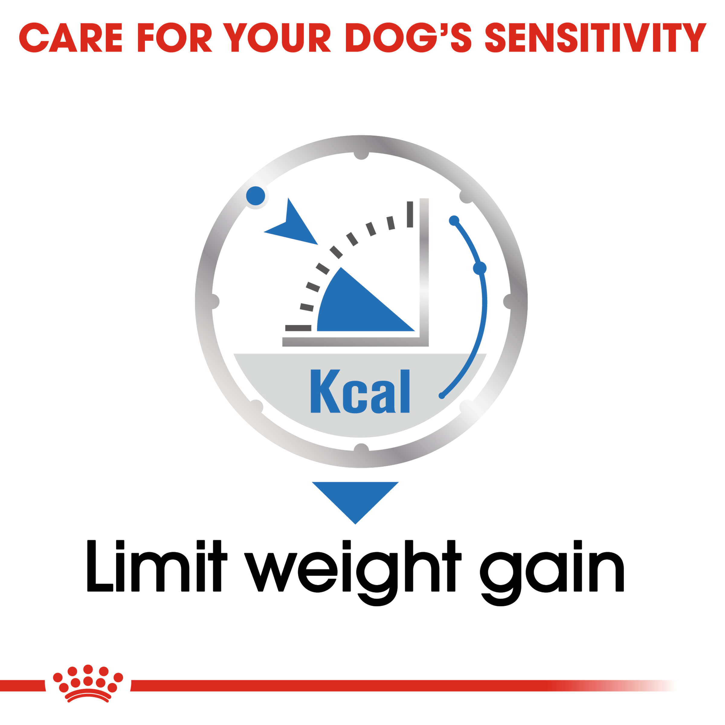 Royal Canin Wet Dog Food Light Weight Care Loaf product detail 4
