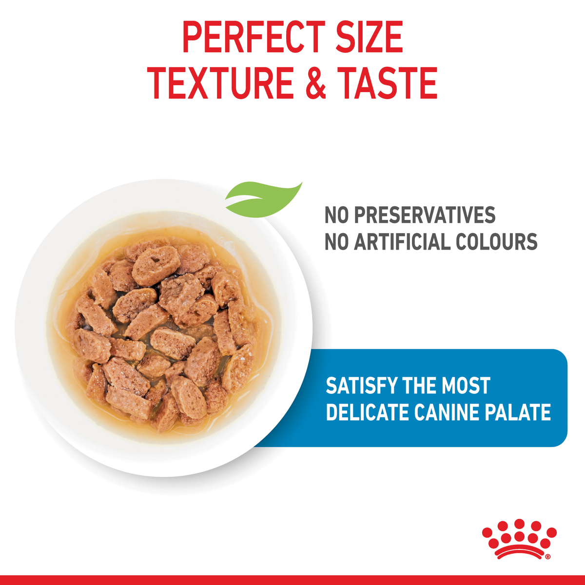 Close-up of Royal Canin Mini Puppy chunks in gravy, no preservatives or artificial colours