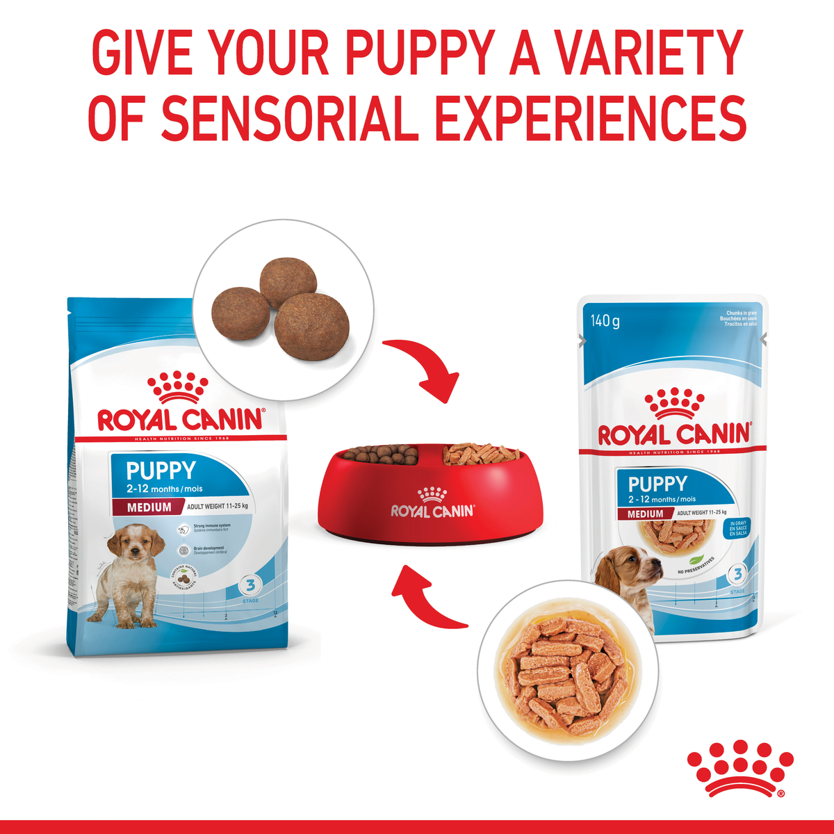 Royal Canin Medium Puppy dry and wet food in a bowl for a variety of sensory experiences
