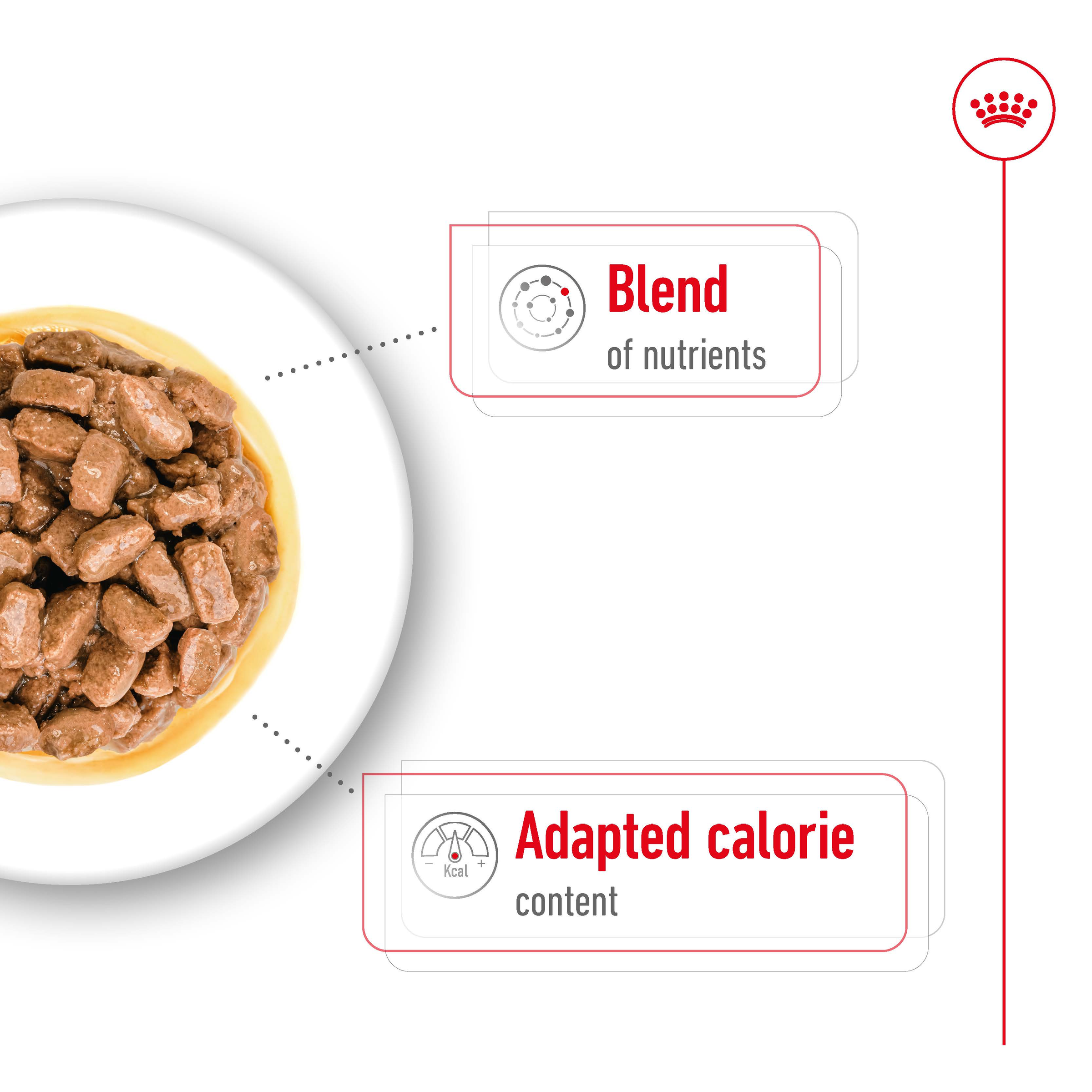 Royal Canin Mini Ageing Gravy Wet Dog Food product detail 4