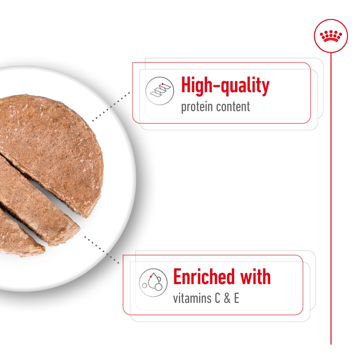Close-up of Royal Canin Medium Adult loaf, high-quality protein with vitamins C and E