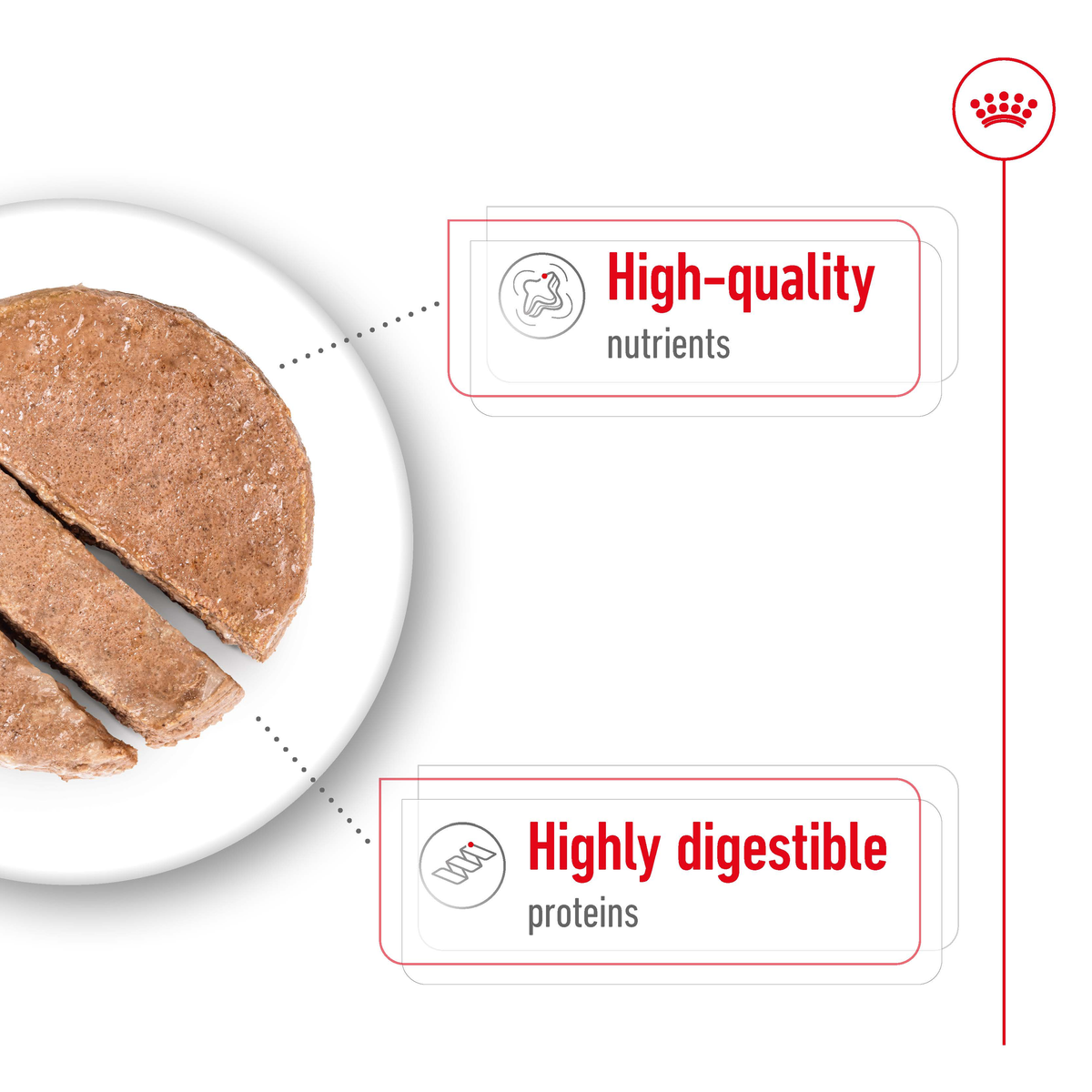 Close-up of Royal Canin Maxi Adult loaf, high-quality and highly digestible proteins