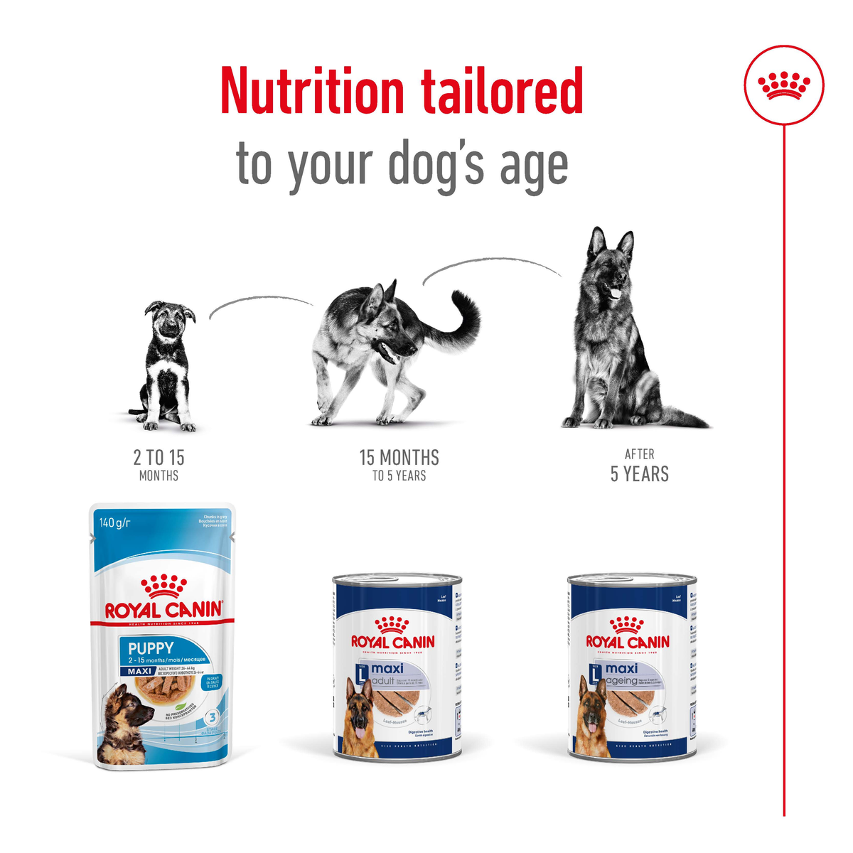 Royal Canin Maxi cans and packs shown as nutrition tailored to a dog's age