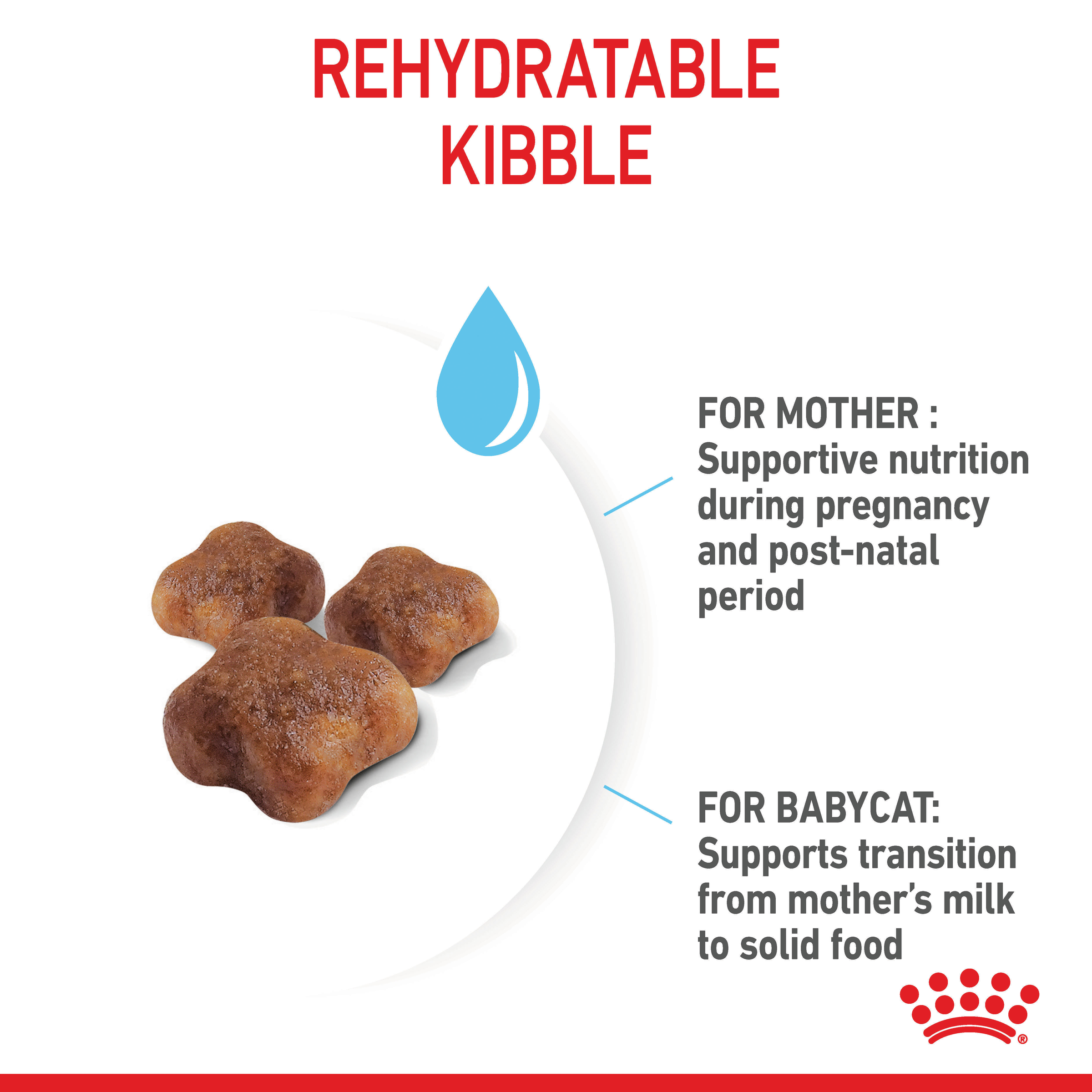 Royal Canin Mother & Babycat Dry Cat Food product detail 3