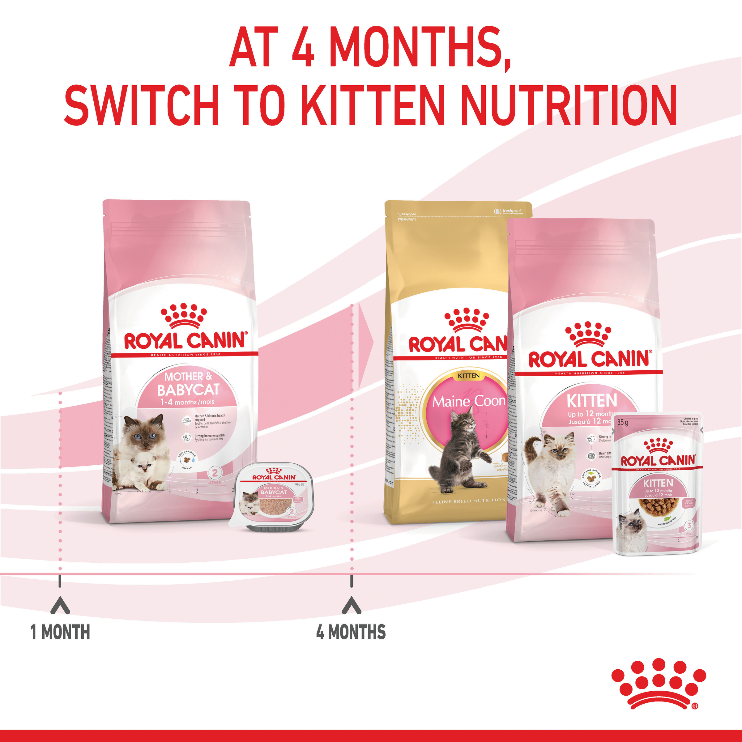 Royal Canin Mother & Babycat Dry Cat Food product detail 4