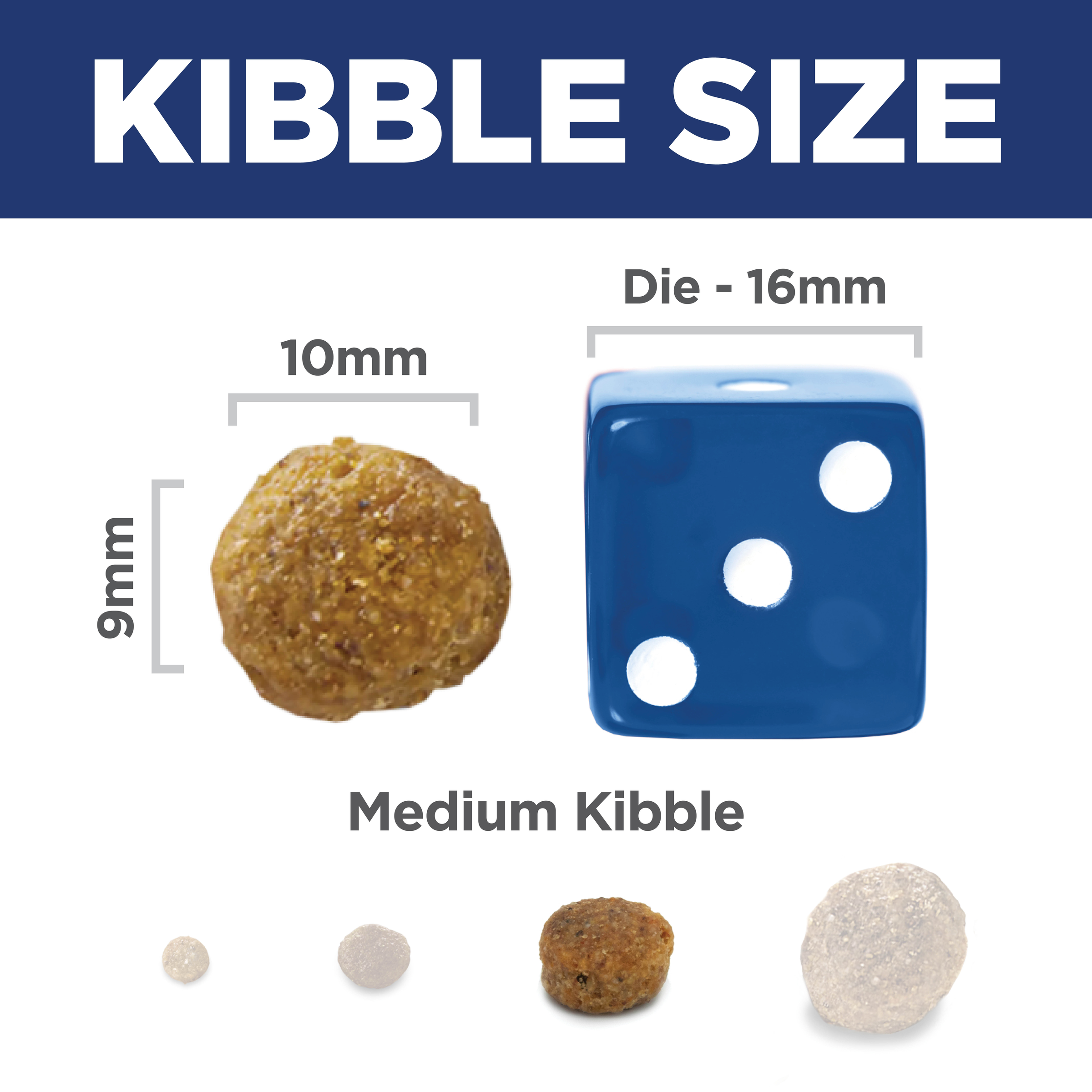 Kibble size comparison: 10mm by 9mm Hill's Science Diet Adult medium dog kibble beside a 16mm dice