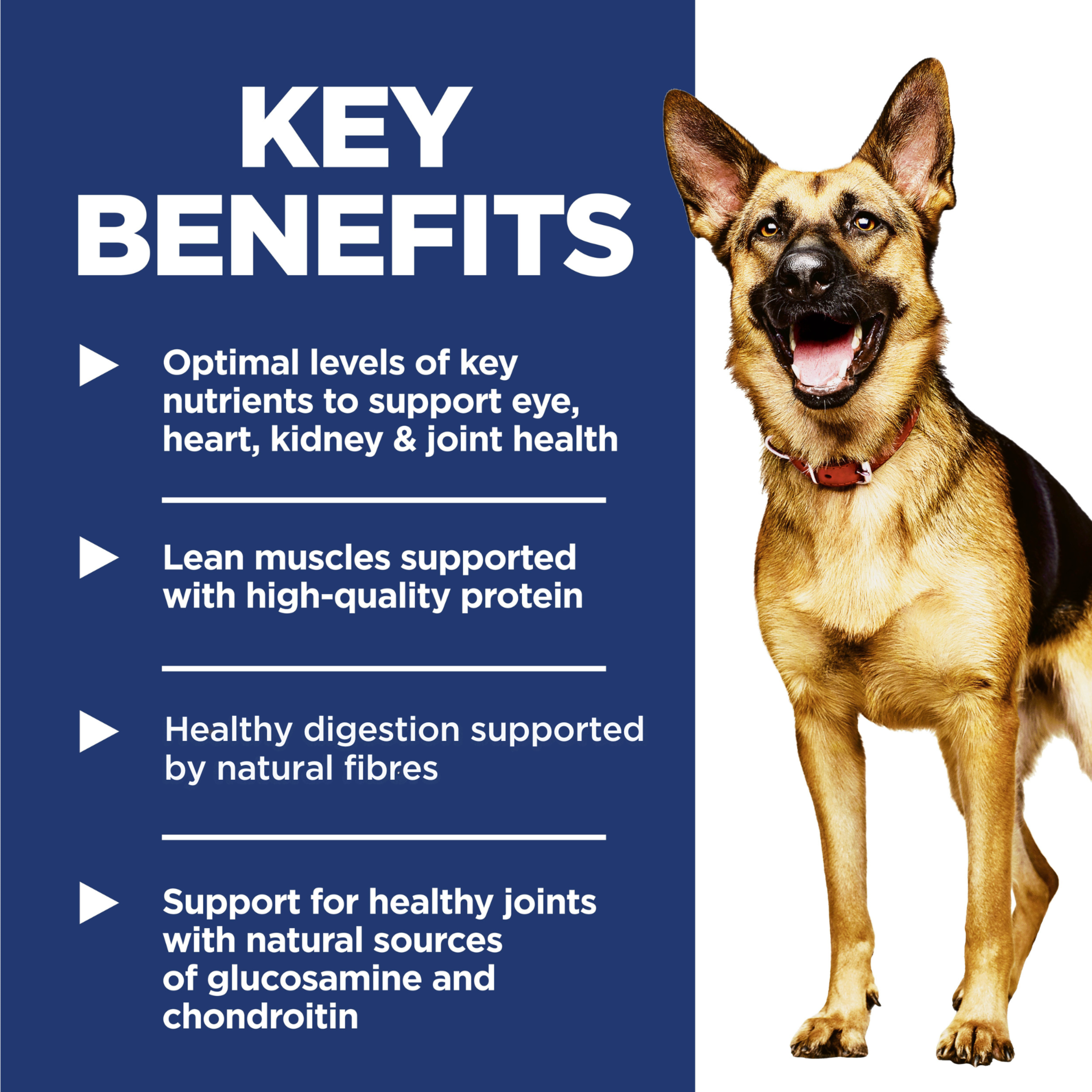 Key benefits panel for Hill's Adult 6+ Large Breed: organ support and glucosamine and chondroitin for joints
