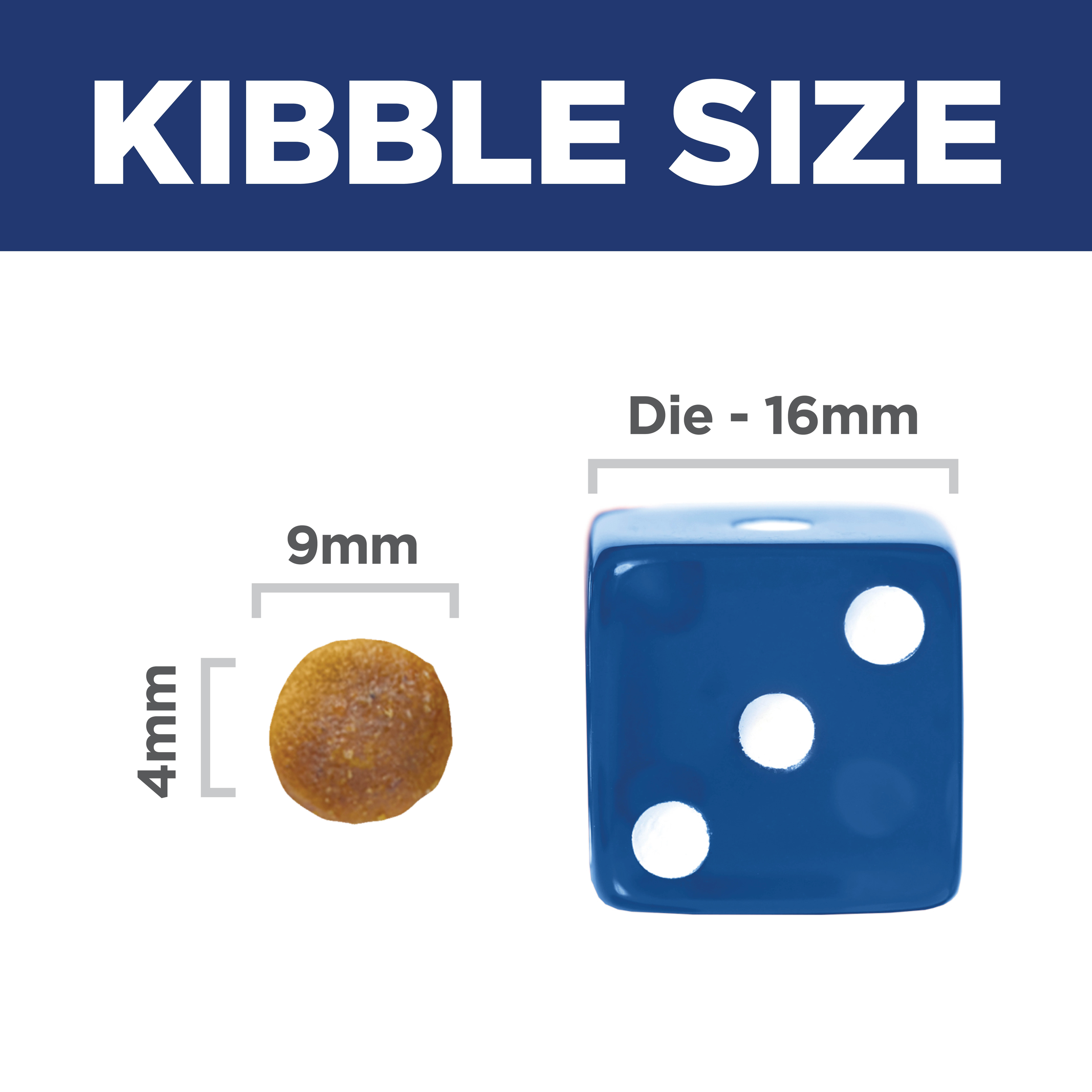Kibble size comparison: 9mm by 4mm Hill's Science Diet Adult cat kibble beside a 16mm dice