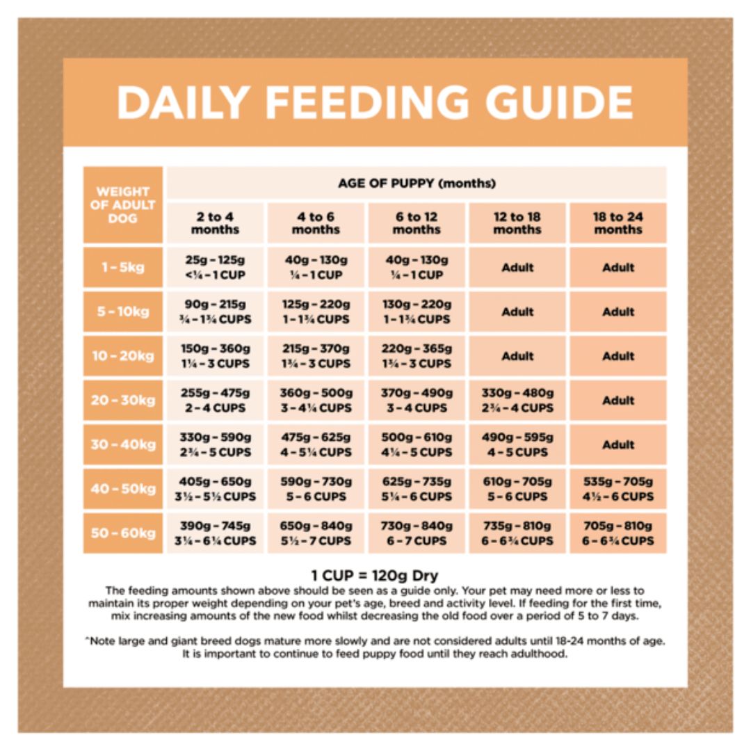 Ivory Coat Grain Free Puppy All Breeds Dry Dog Food Chicken