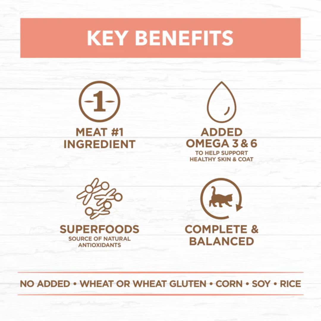 Ivory Coat Grain Free Kitten Wet Food Chicken and Beef in Gravy