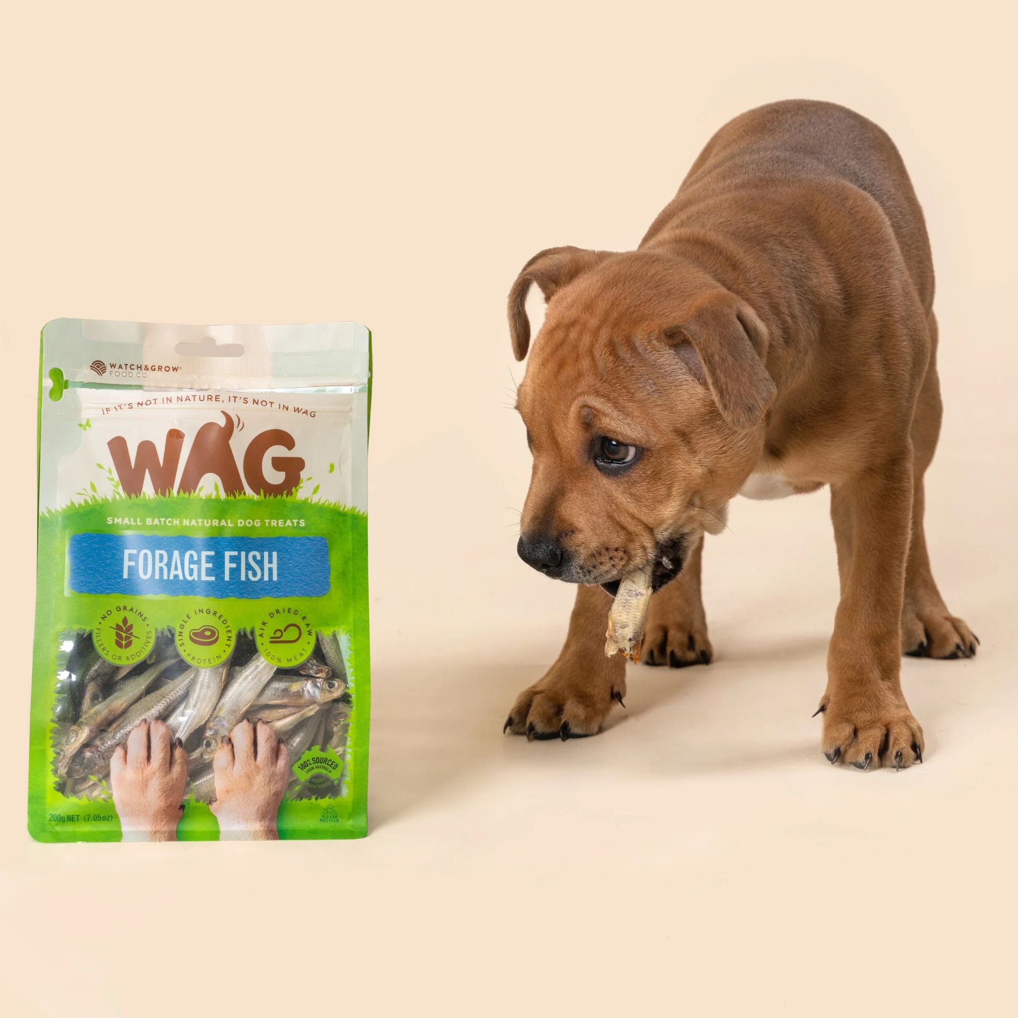 WAG Forage Fish 200g | PeekAPaw Pet Supplies