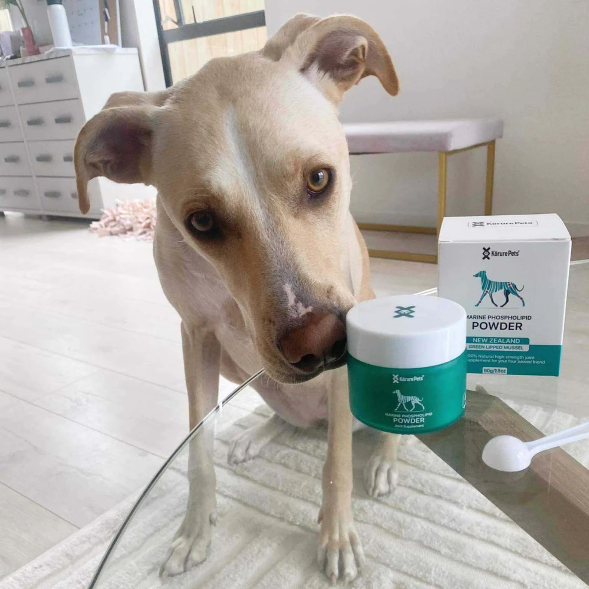 Korure Pets Marine Phospholid Powder for Dogs