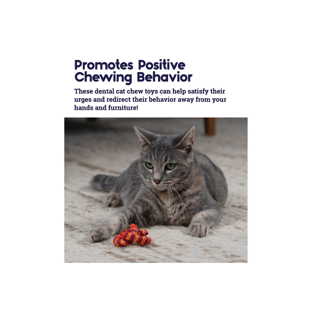 Petstages Catnip Plaque Away Pretzel