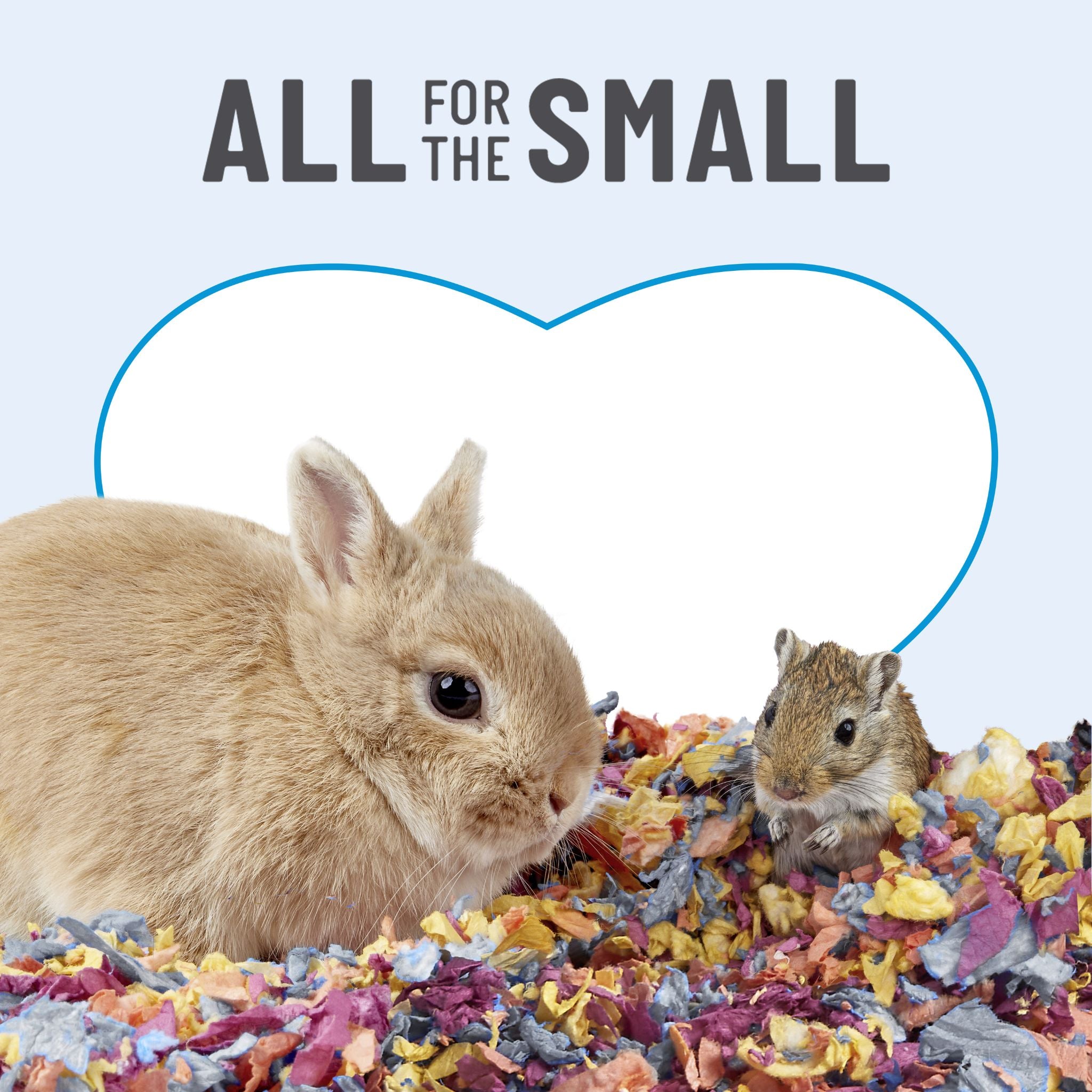 Kaytee Clean & Cozy Colors Kaleidoscope Bedding