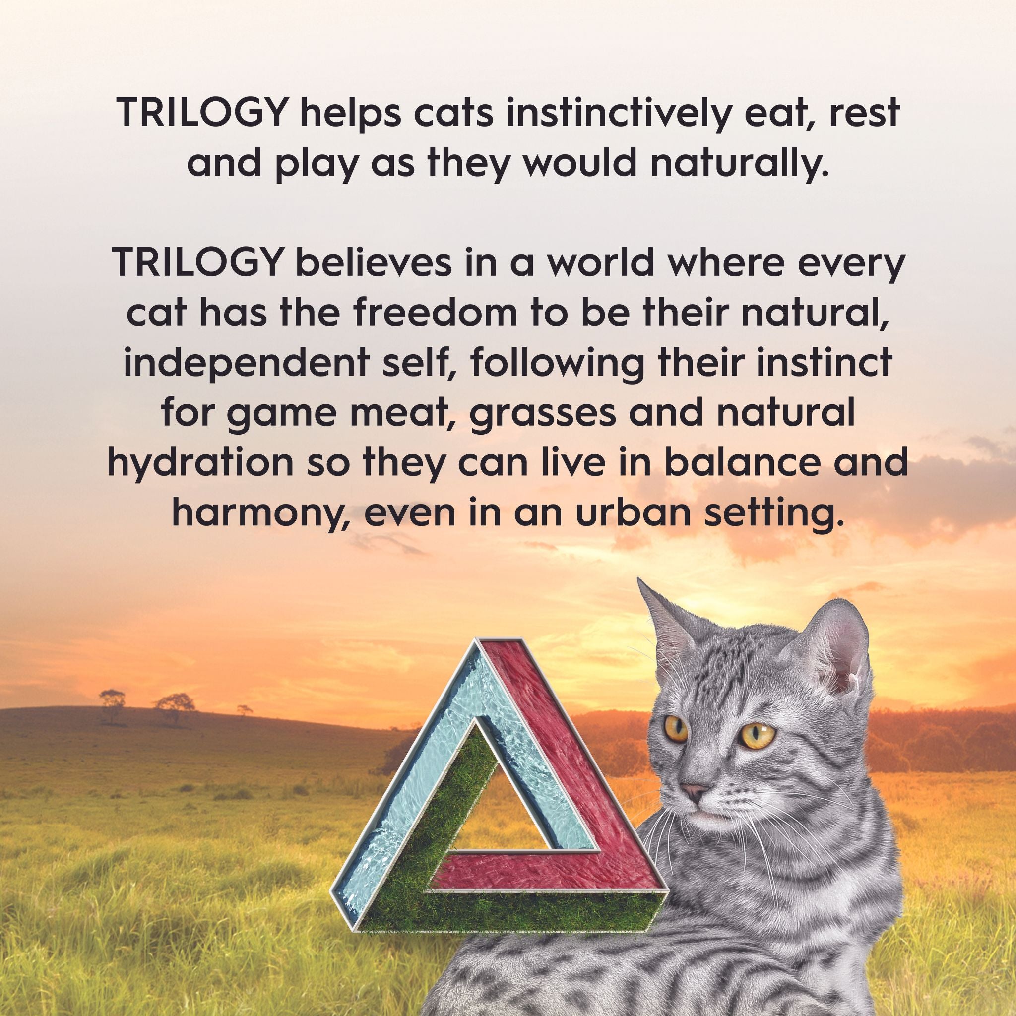 Trilogy Dry Adult Cat Food Australian Kangaroo + Freeze Dried Lamb