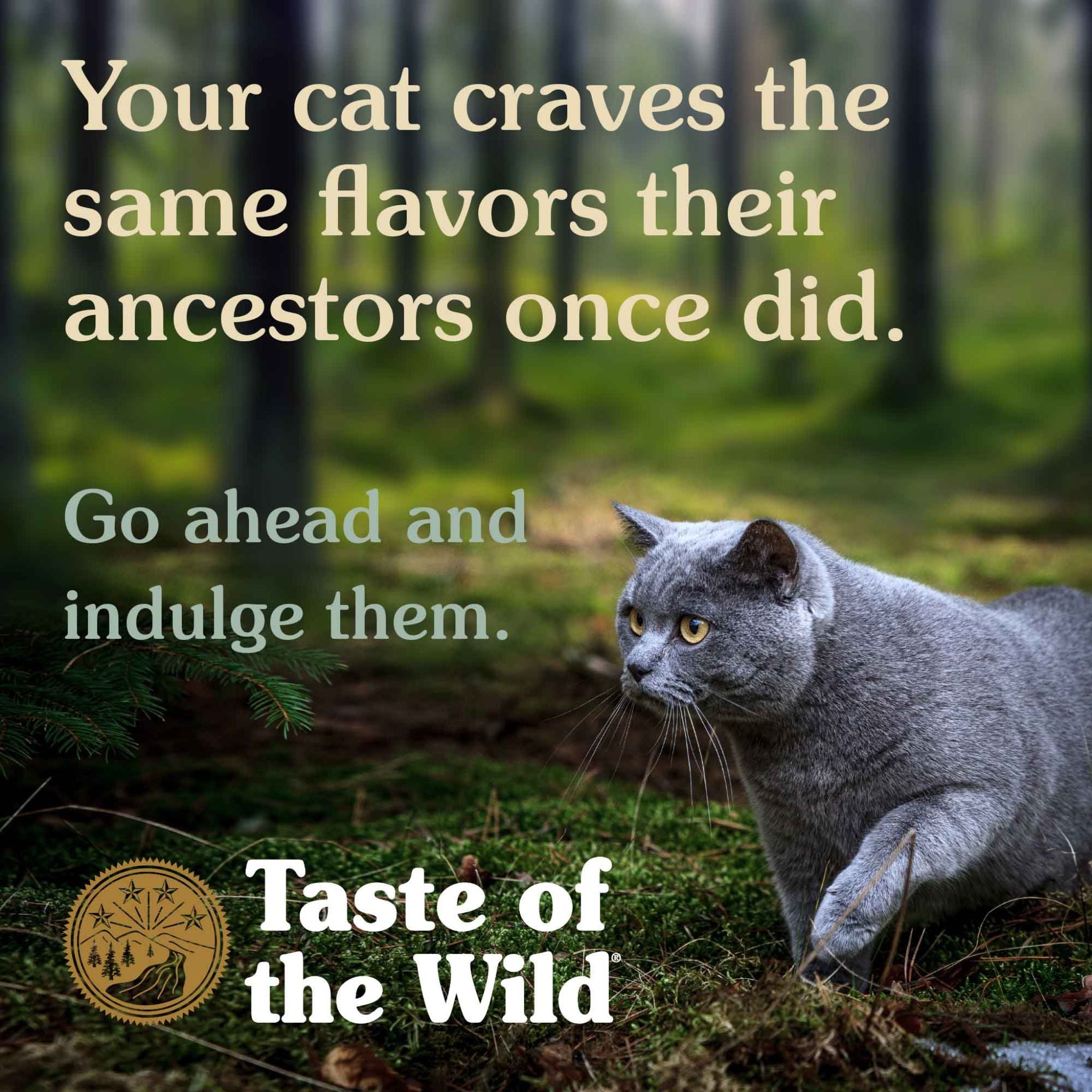 Taste of the Wild Lowland Creek Dry Cat Food