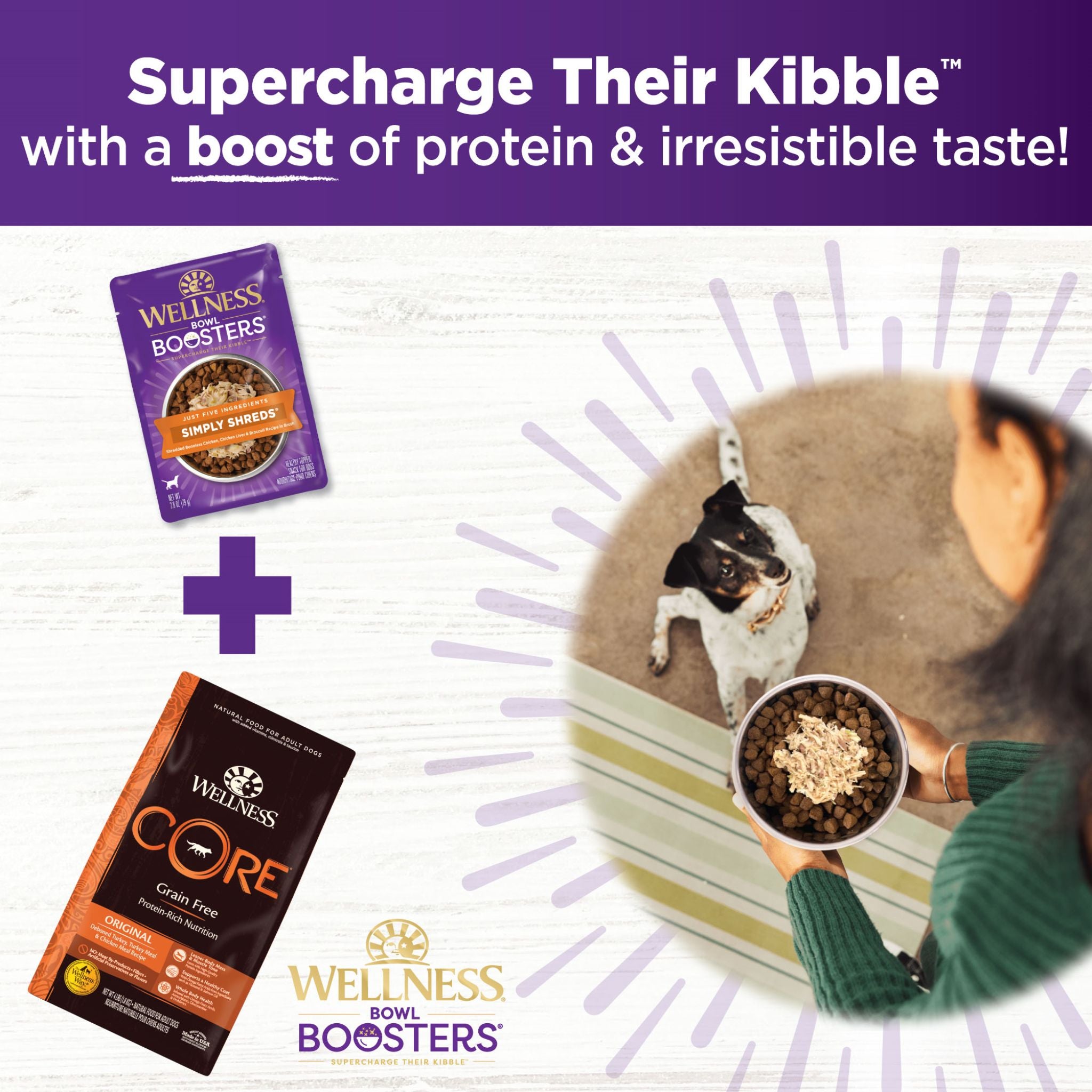 Wellness Core Wet Dog Food Simply Shreds Shredded Boneless Chicken, Chicken Liver & Broccoli