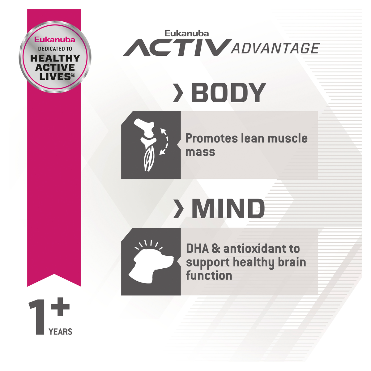 Eukanuba Activ Advantage Body and Mind panels on lean muscle mass and DHA