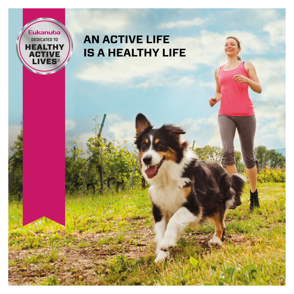 Eukanuba lifestyle photo of a border collie running alongside a woman jogging