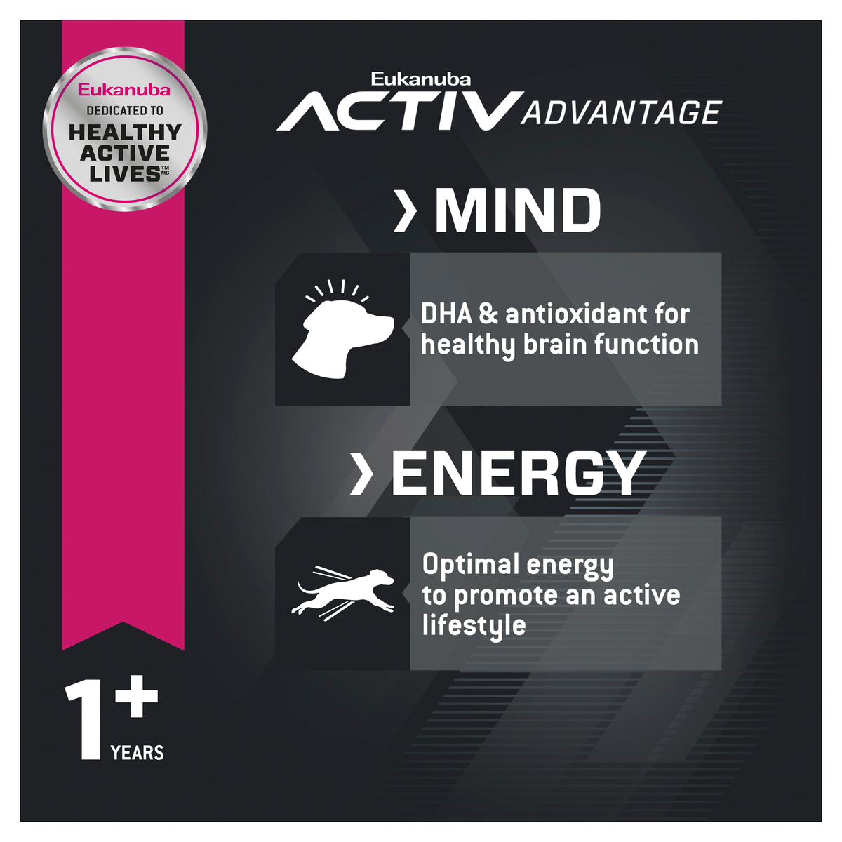 Eukanuba Activ Advantage Mind and Energy panels, on DHA for brain function