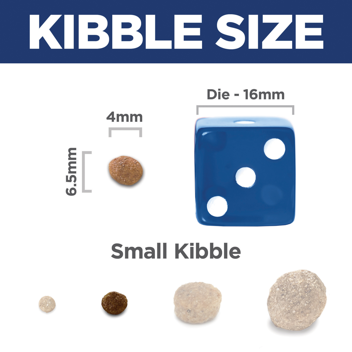 Kibble size comparison: 6.5mm by 4mm Hill's Small & Mini Puppy kibble beside a 16mm dice