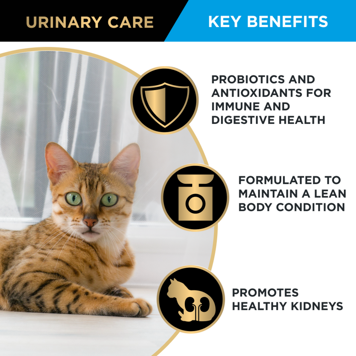 PRO PLAN Urinary Care key benefits panel with a cat: probiotics, lean body condition, kidneys