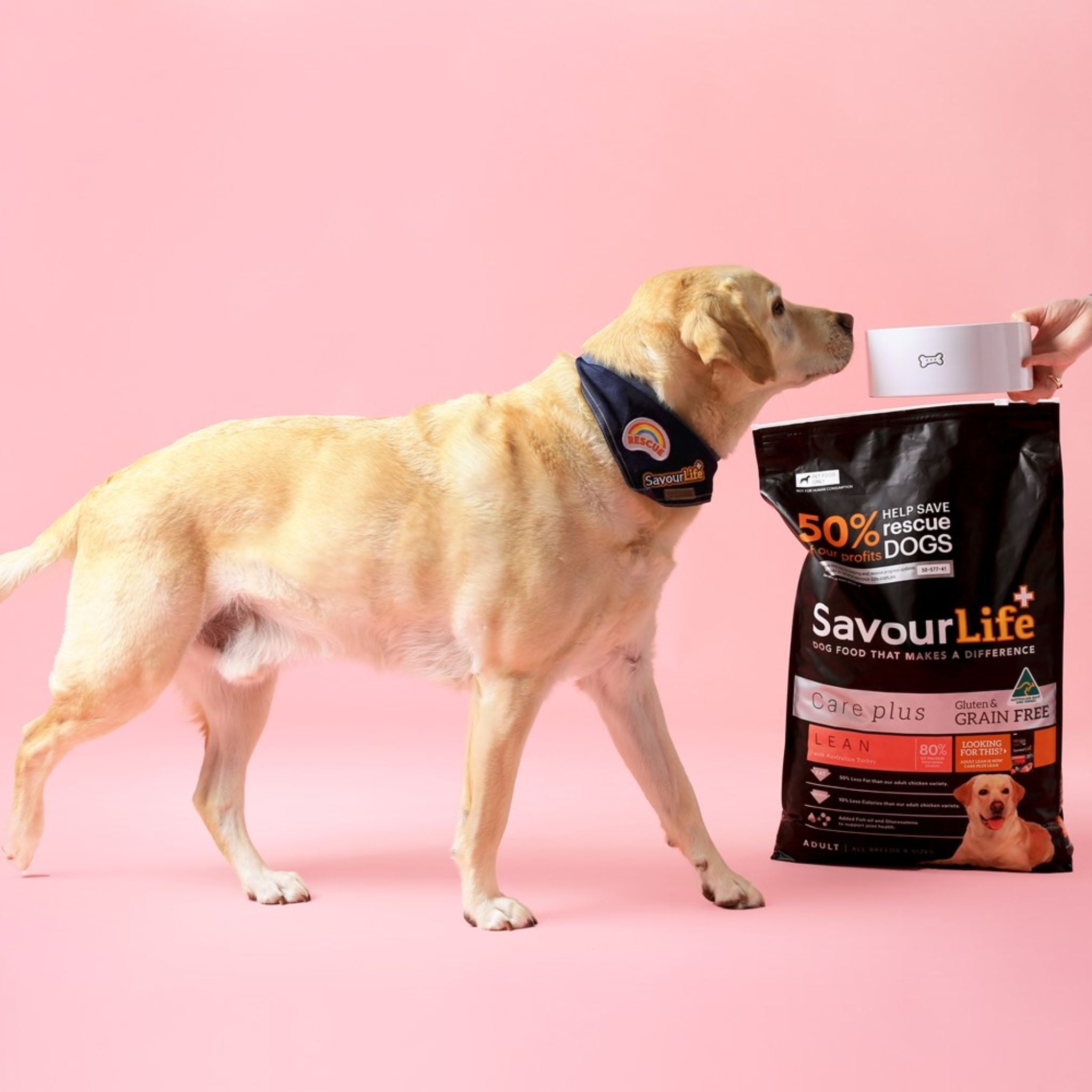 SavourLife Grain Free Care Plus Lean Australian Turkey Dry Dog Food